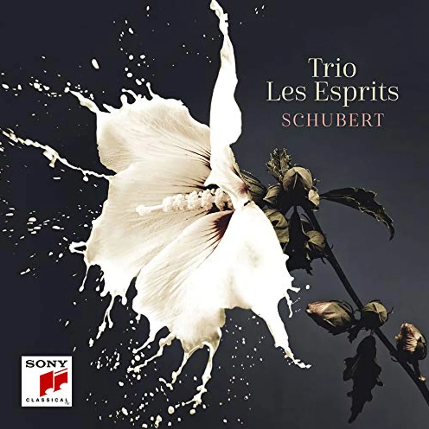 Trio Les Esprits SCHUBERT CD