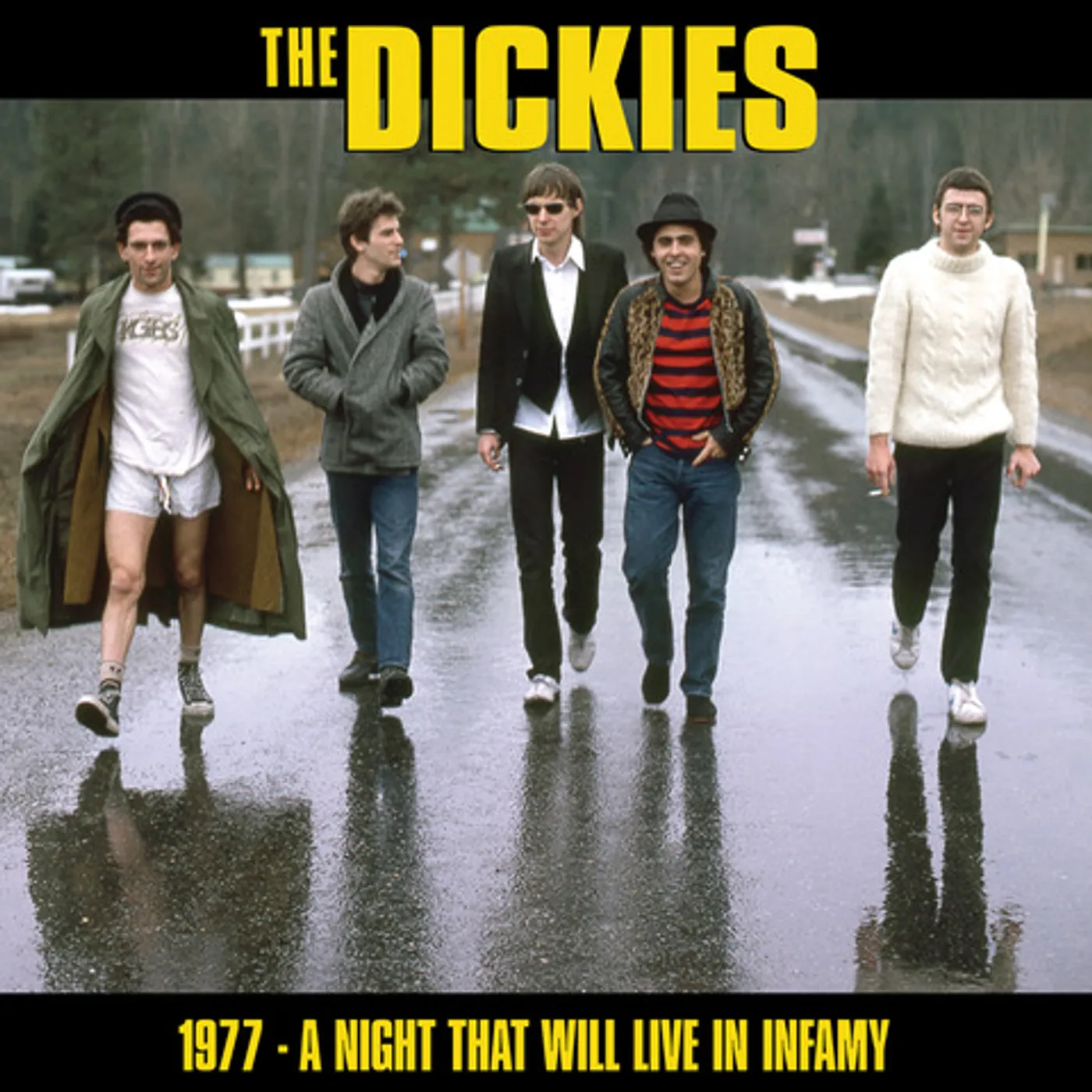 The Dickies A NIGHT THAT WILL LIVE IN INFAMY 1977 Vinyl Record