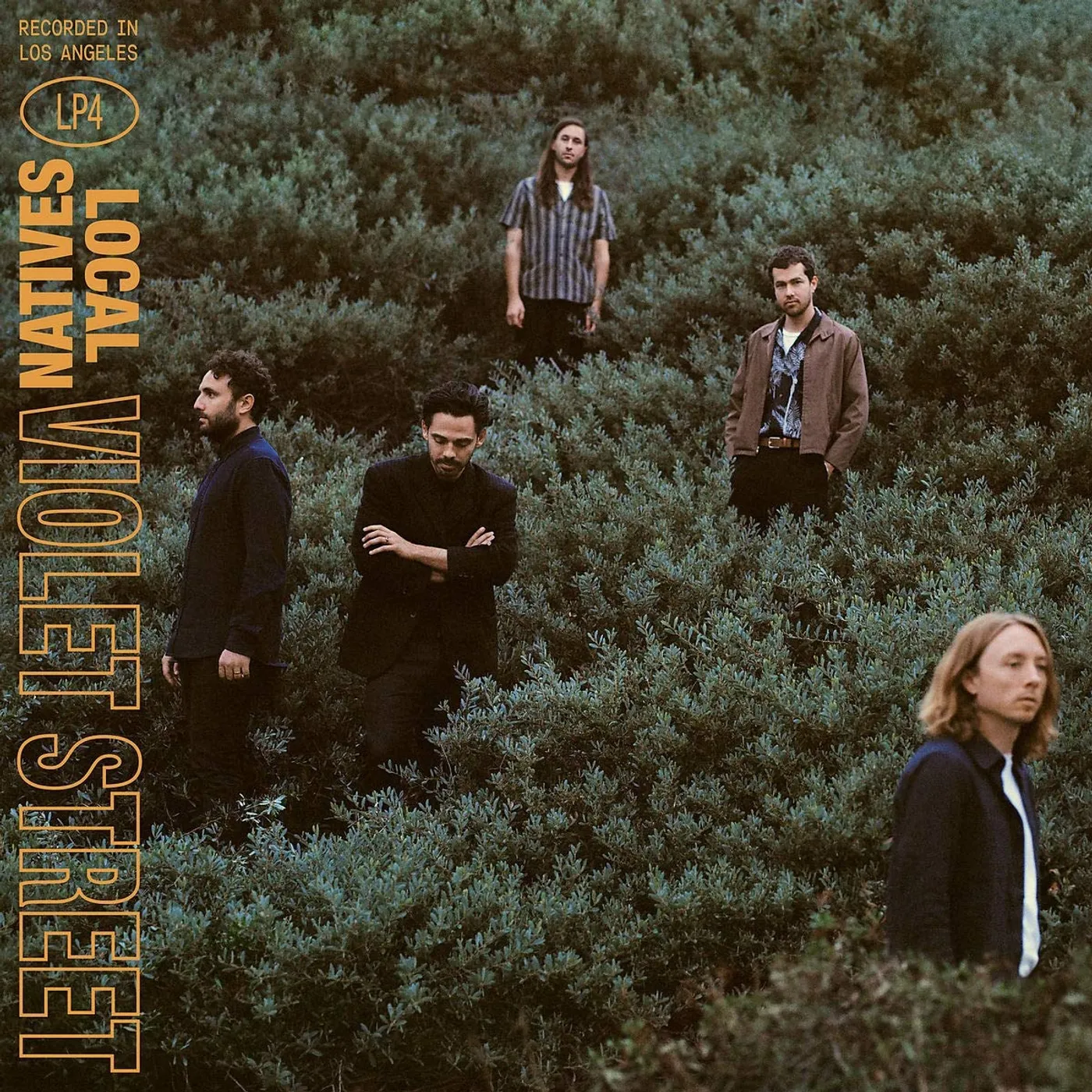 Local Natives VIOLET STREET CD