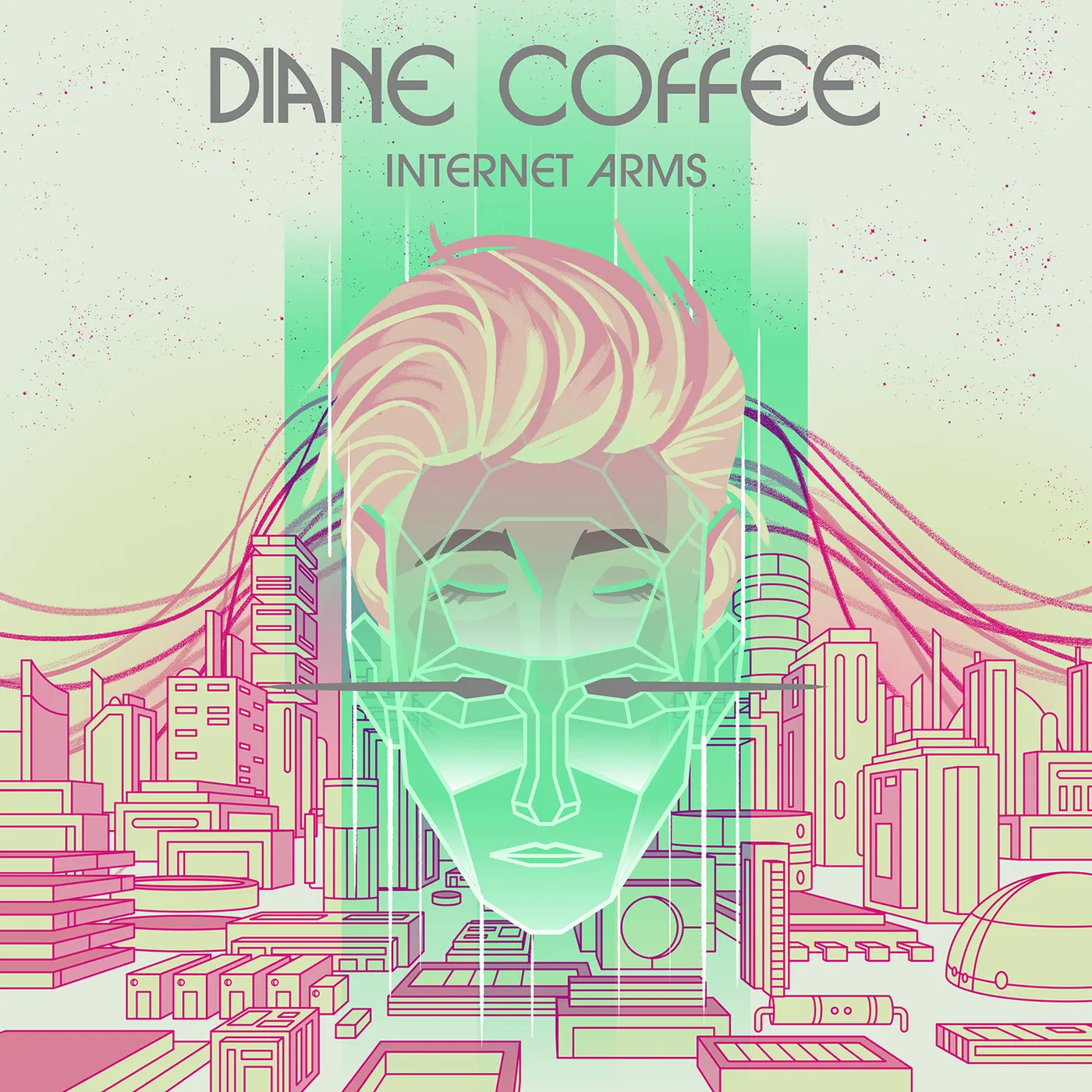 Diane Coffee Internet Arms Vinyl Record