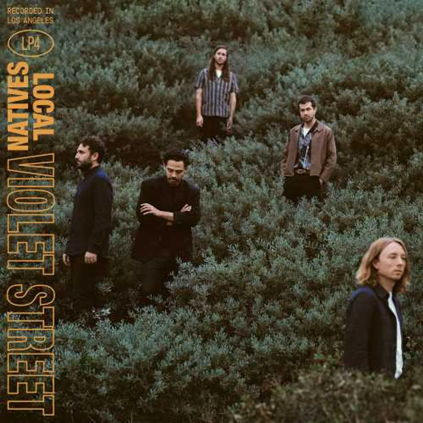Local Natives Violet Street Vinyl Record