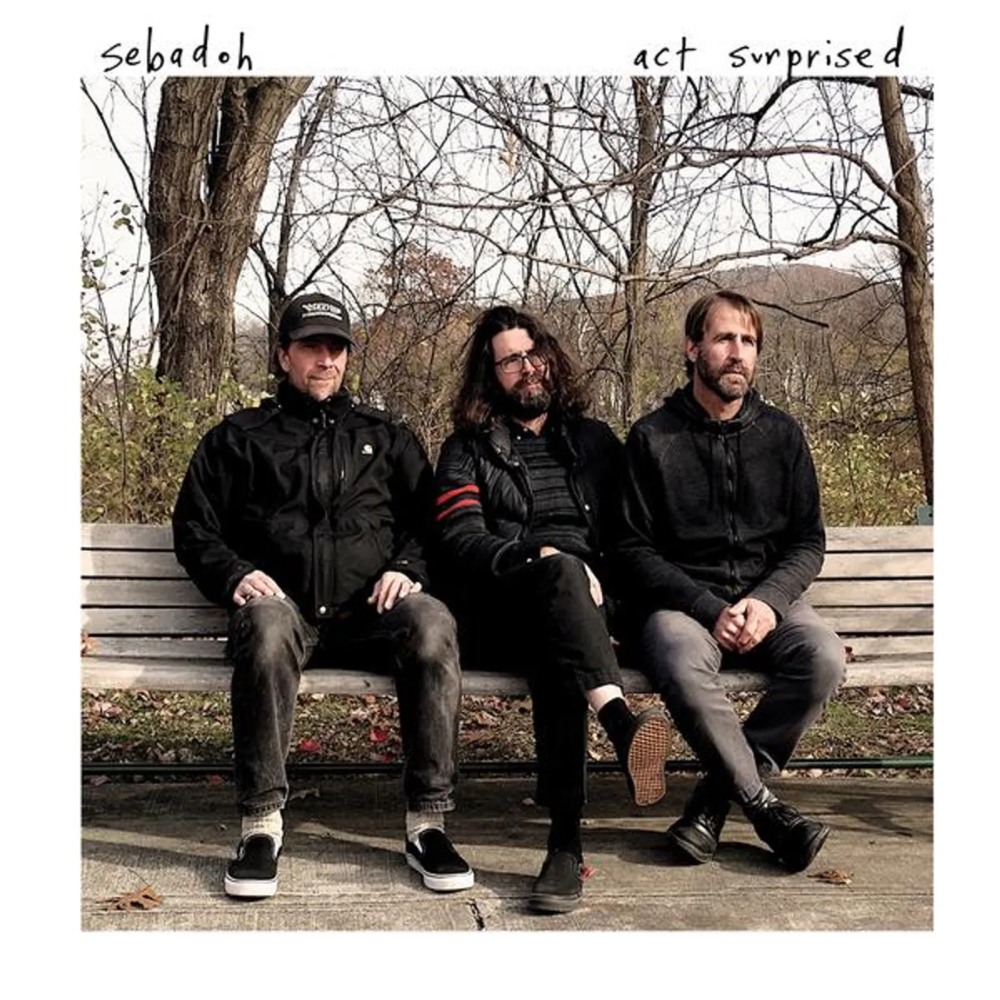 Sebadoh Act Surprised Vinyl Record