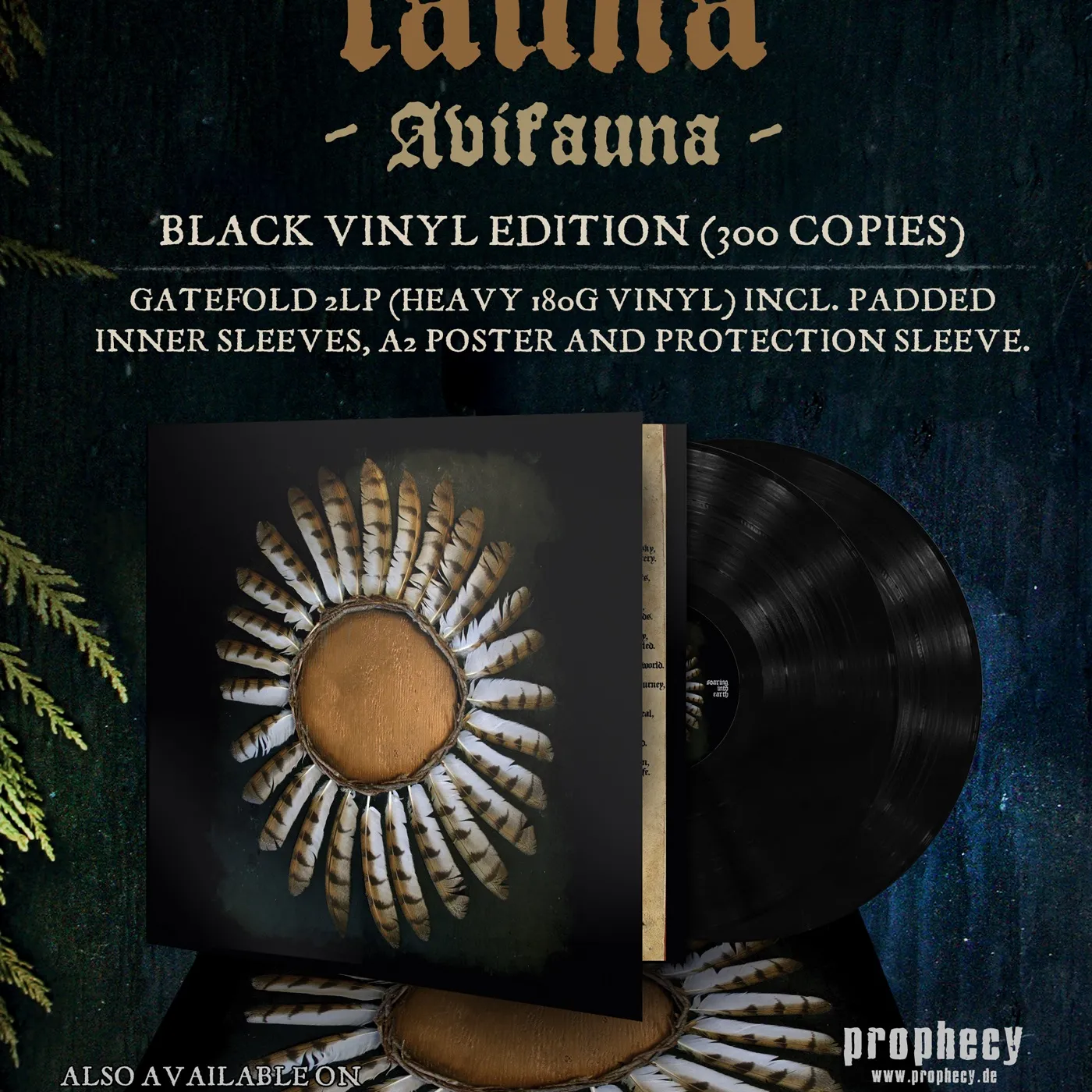 Avifauna Vinyl Record
