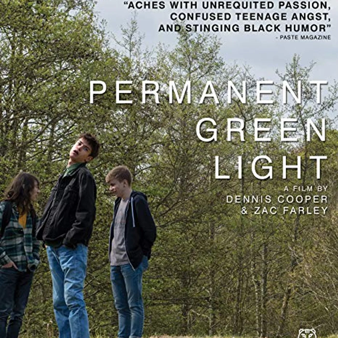 PERMANENT GREEN LIGHT Blu-ray