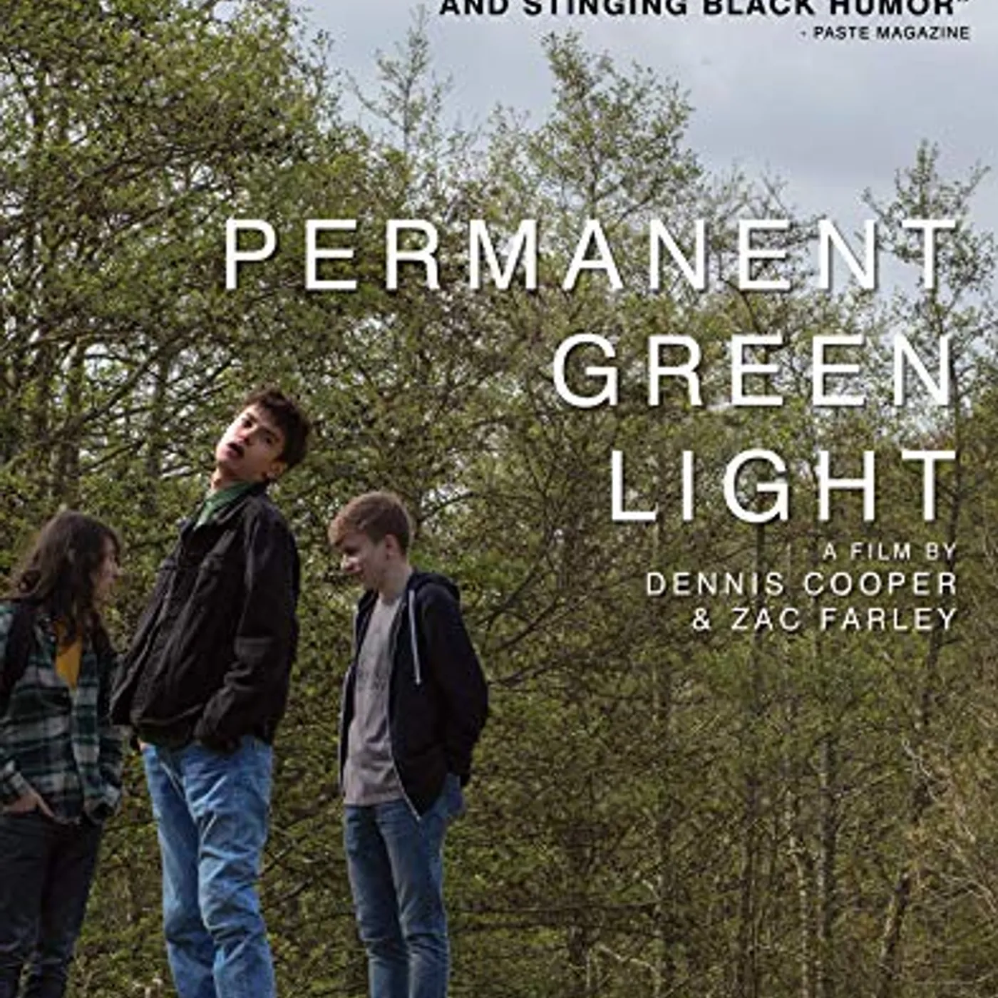 PERMANENT GREEN LIGHT DVD