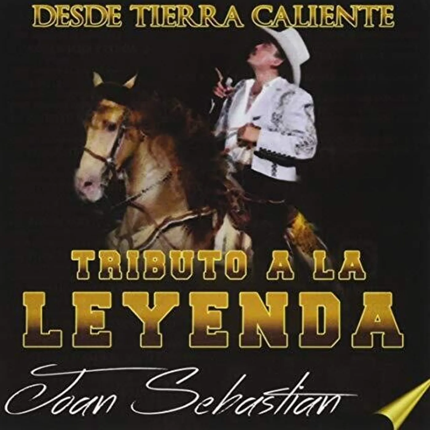 Joan Sebastian DESDE TIERRA CALIENTE CD