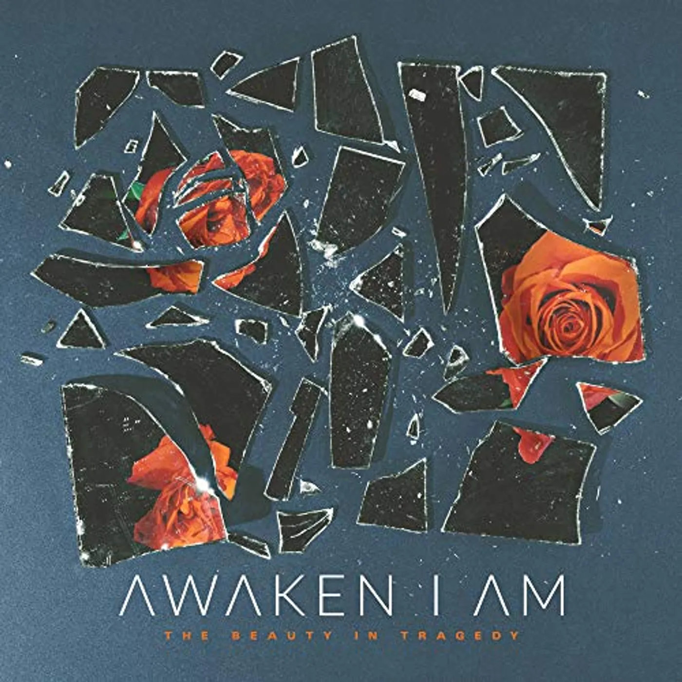 Awaken I Am BEAUTY IN TRAGEDY Vinyl Record