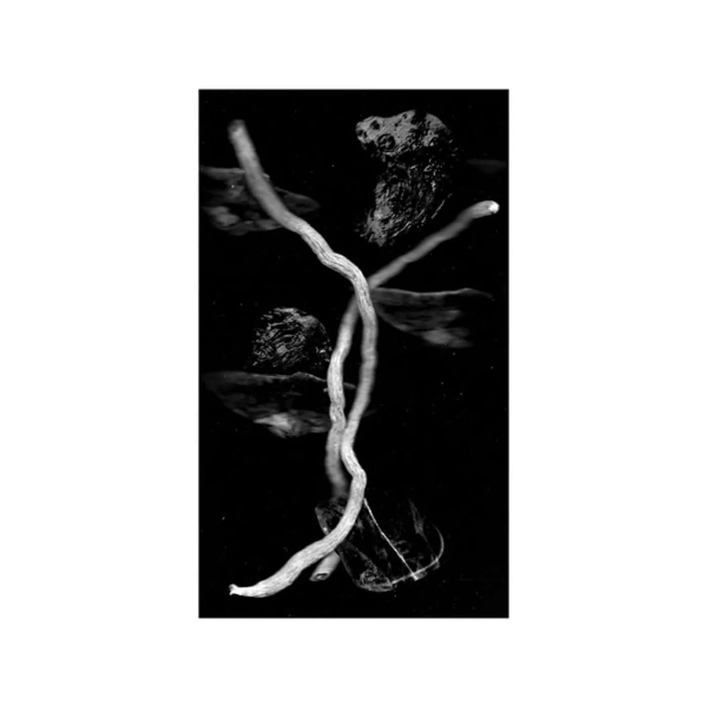 Celephaïs GREY DAWN QUAINT GARDENS Vinyl Record