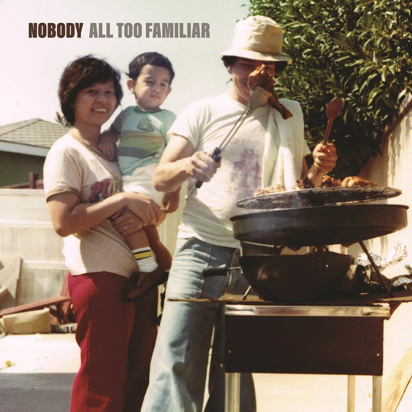 Nobody All Too Familiar Vinyl Record