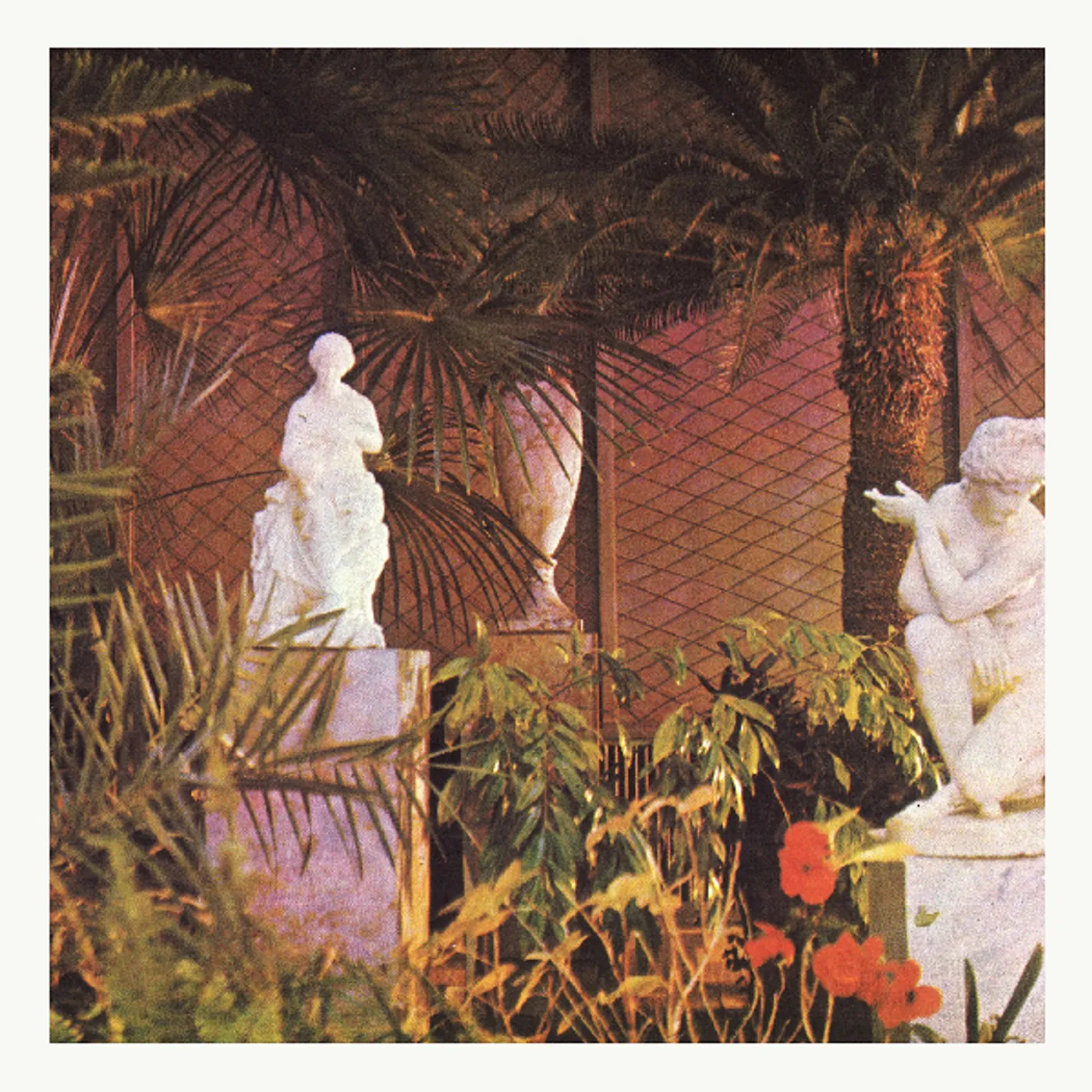 Marja Ahti Vegetal Negatives Vinyl Record