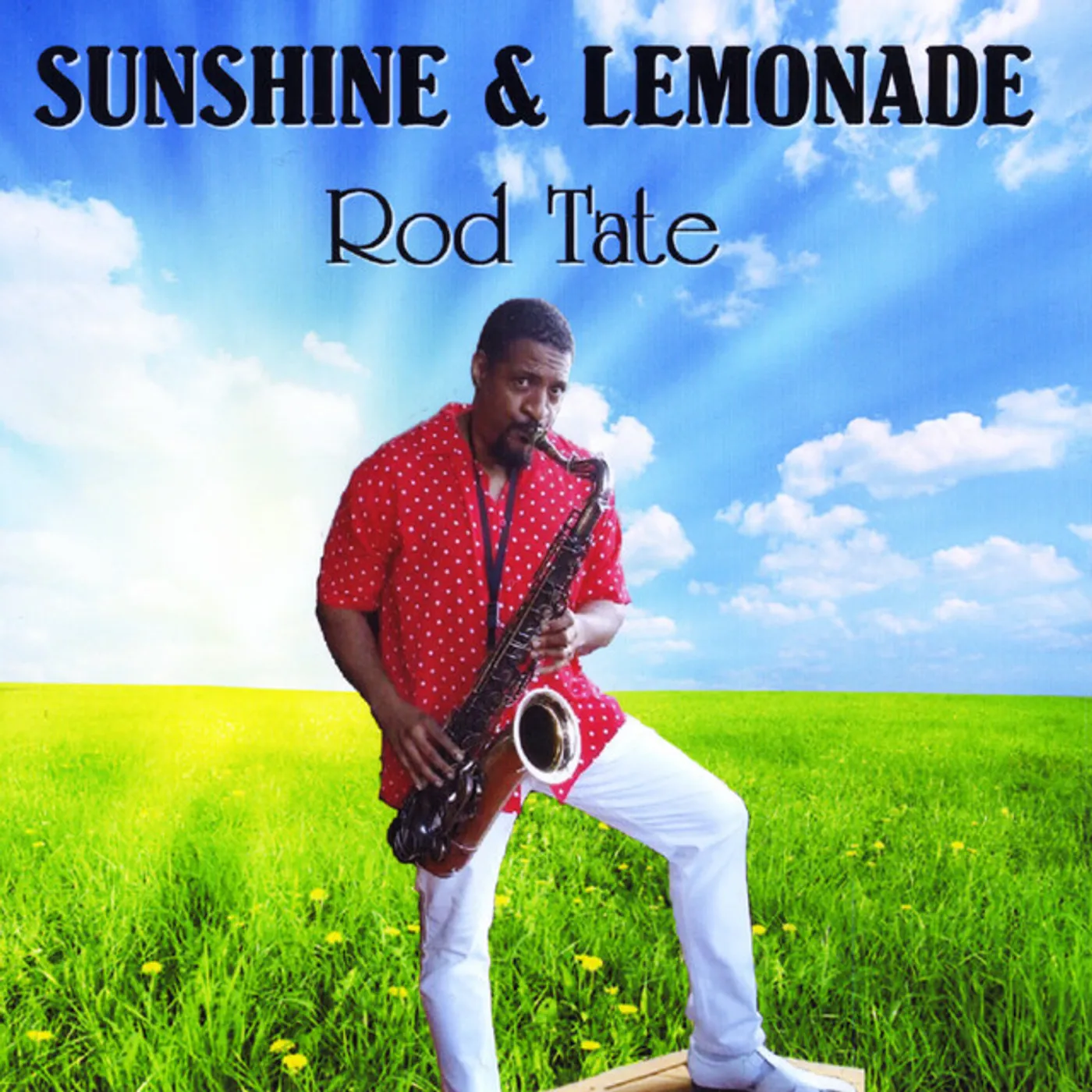 Rod Tate SUNSHINE & LEMONADE CD