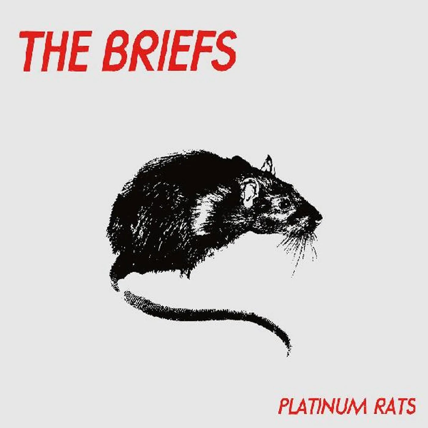 The Briefs PLATINUM RATS CD