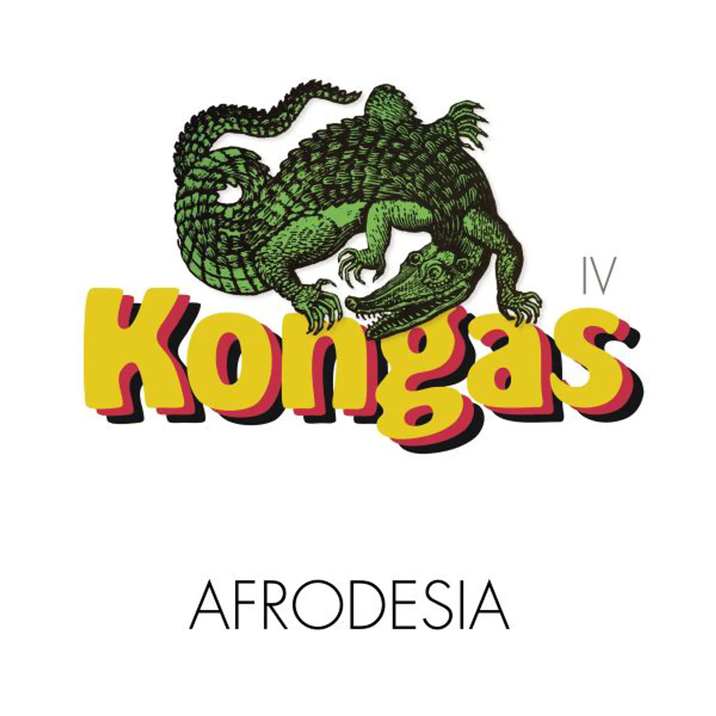 Kongas Afrodesia Vinyl Record