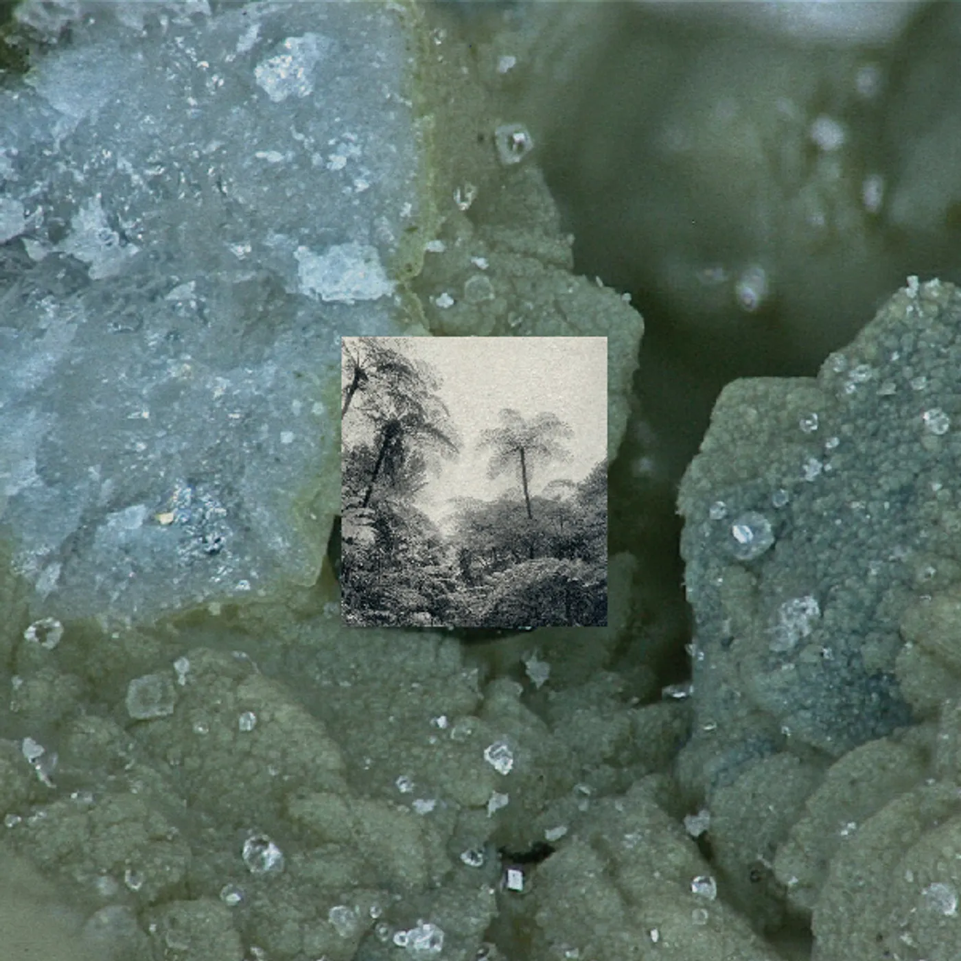 WiDE AWAKE ALIENATION EFFECTS Vinyl Record