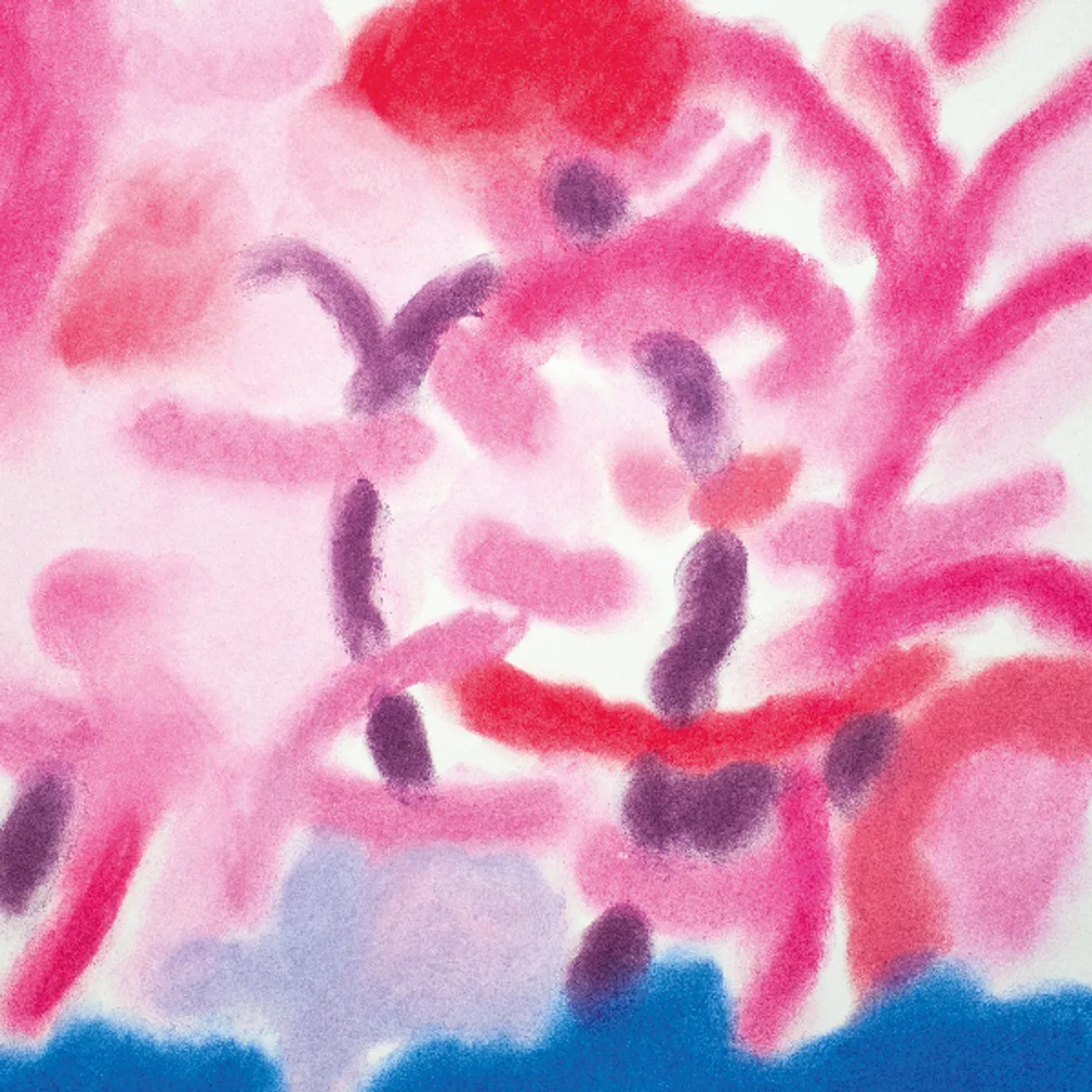 Lawrence Black Cats Vinyl Record