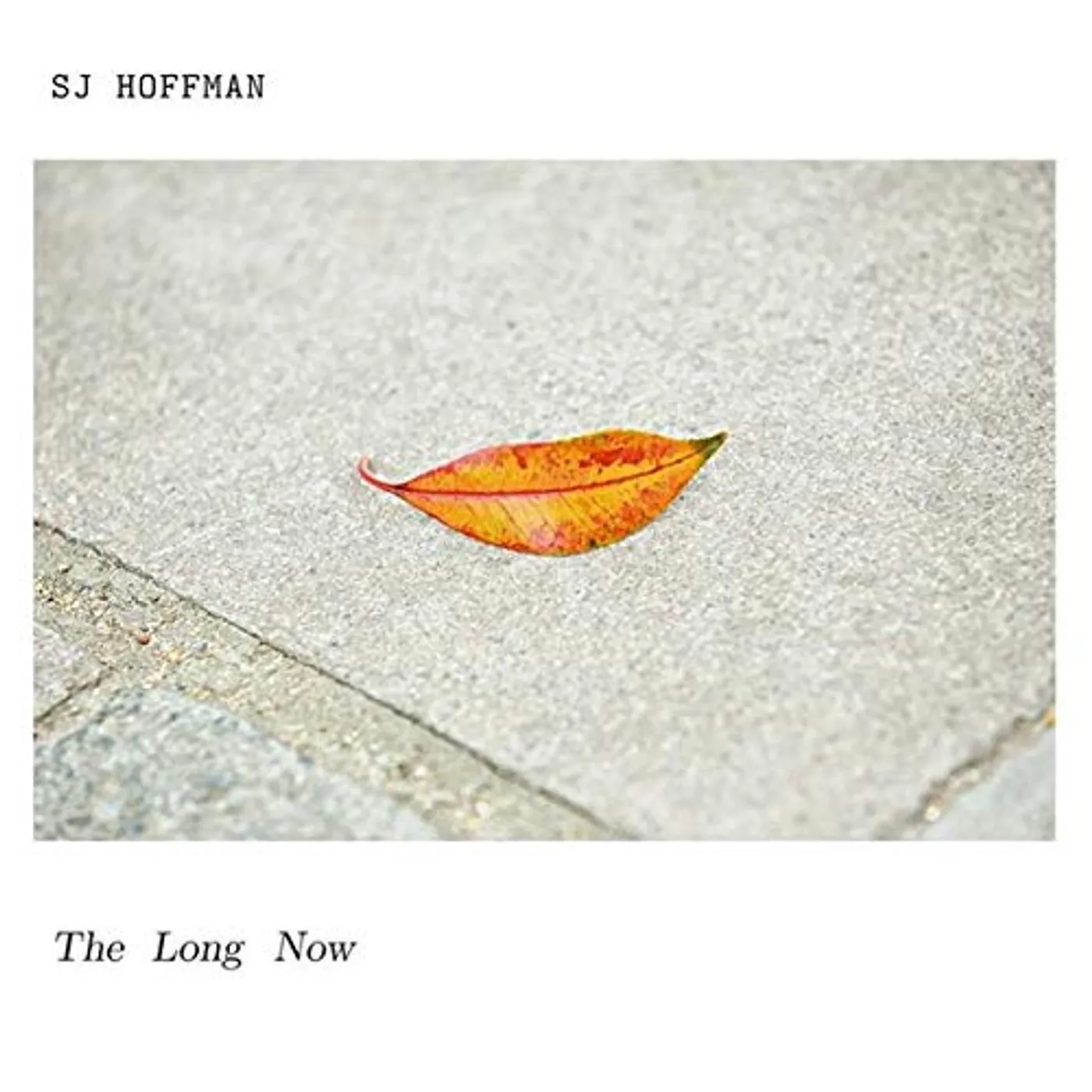 SJ Hoffman LONG NOW CD