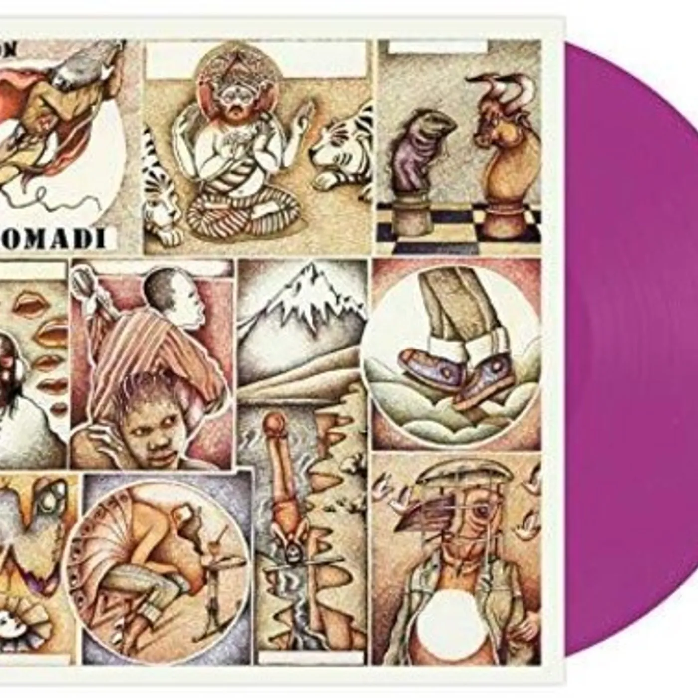 Nomadi Gordon Vinyl Record