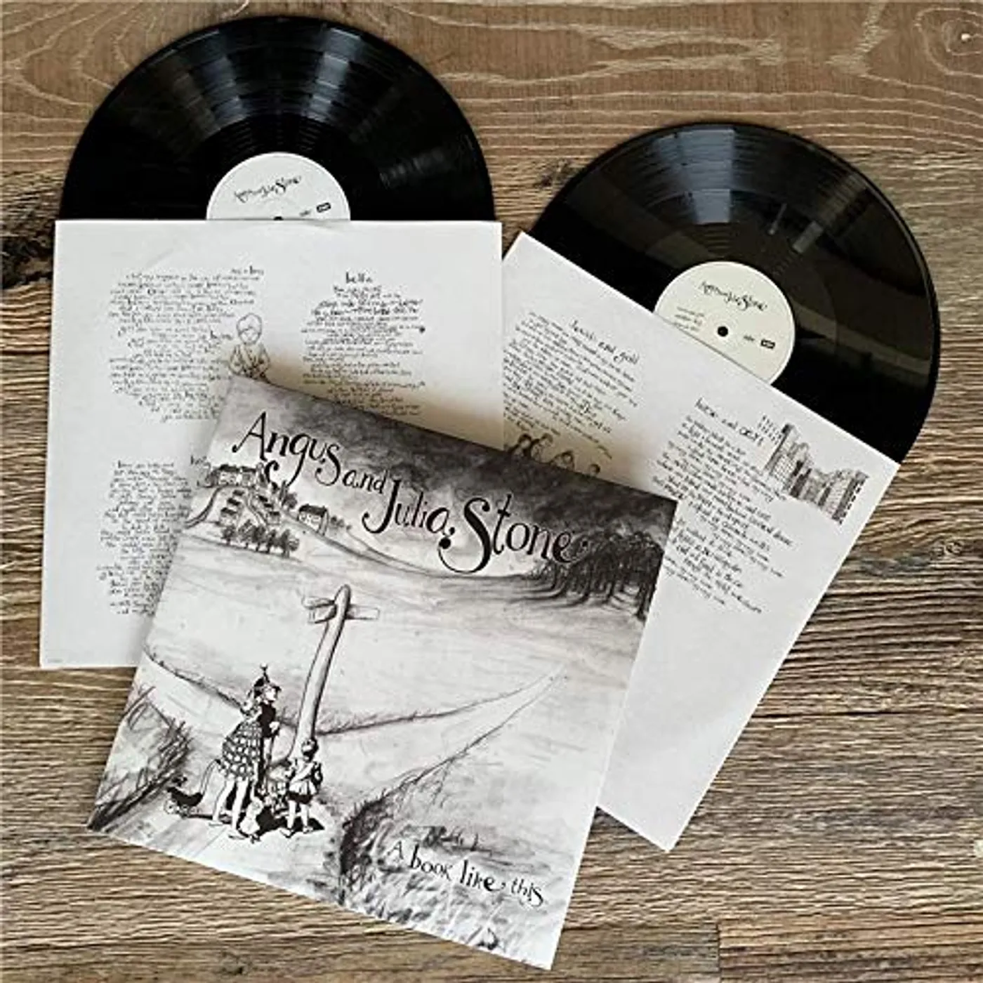 Angus & Julia Stone BOOK LIKE THIS Vinyl Record