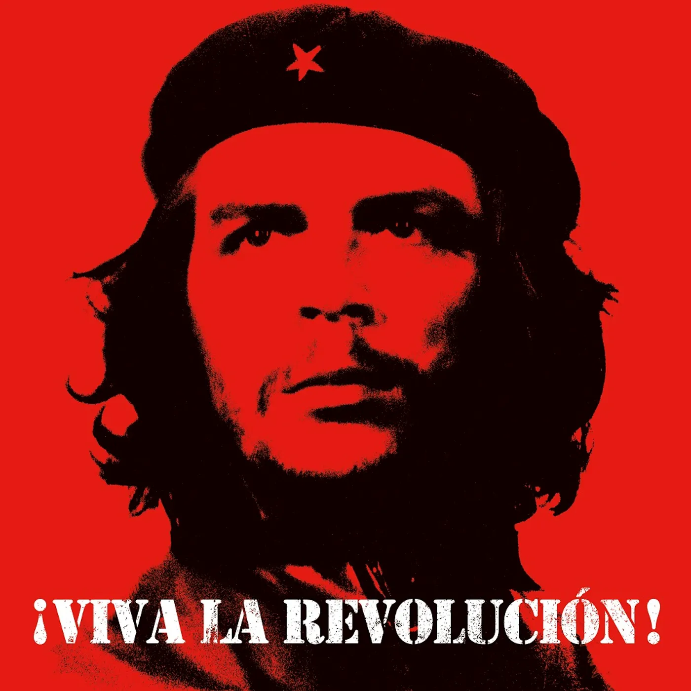 VIVA LA REVOLUCION / VARIOUS Vinyl Record