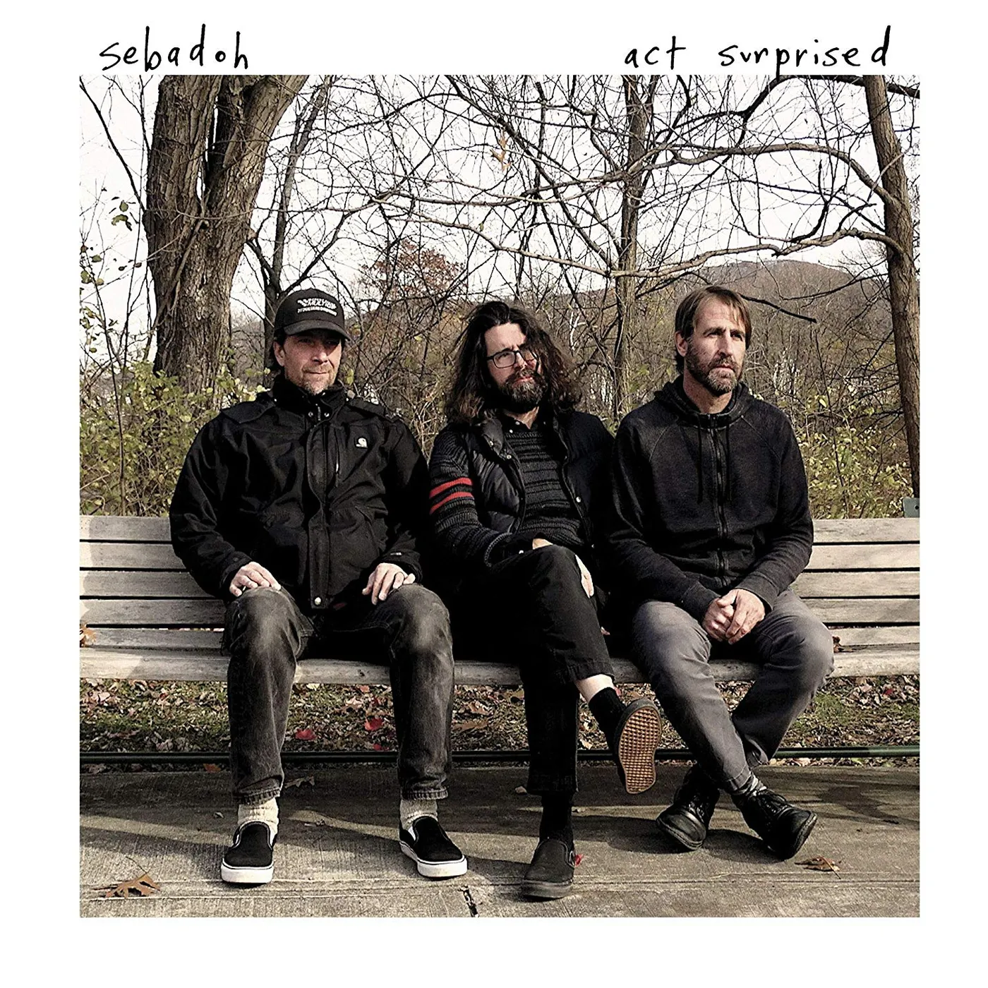 Sebadoh ACT SURPRISED CD
