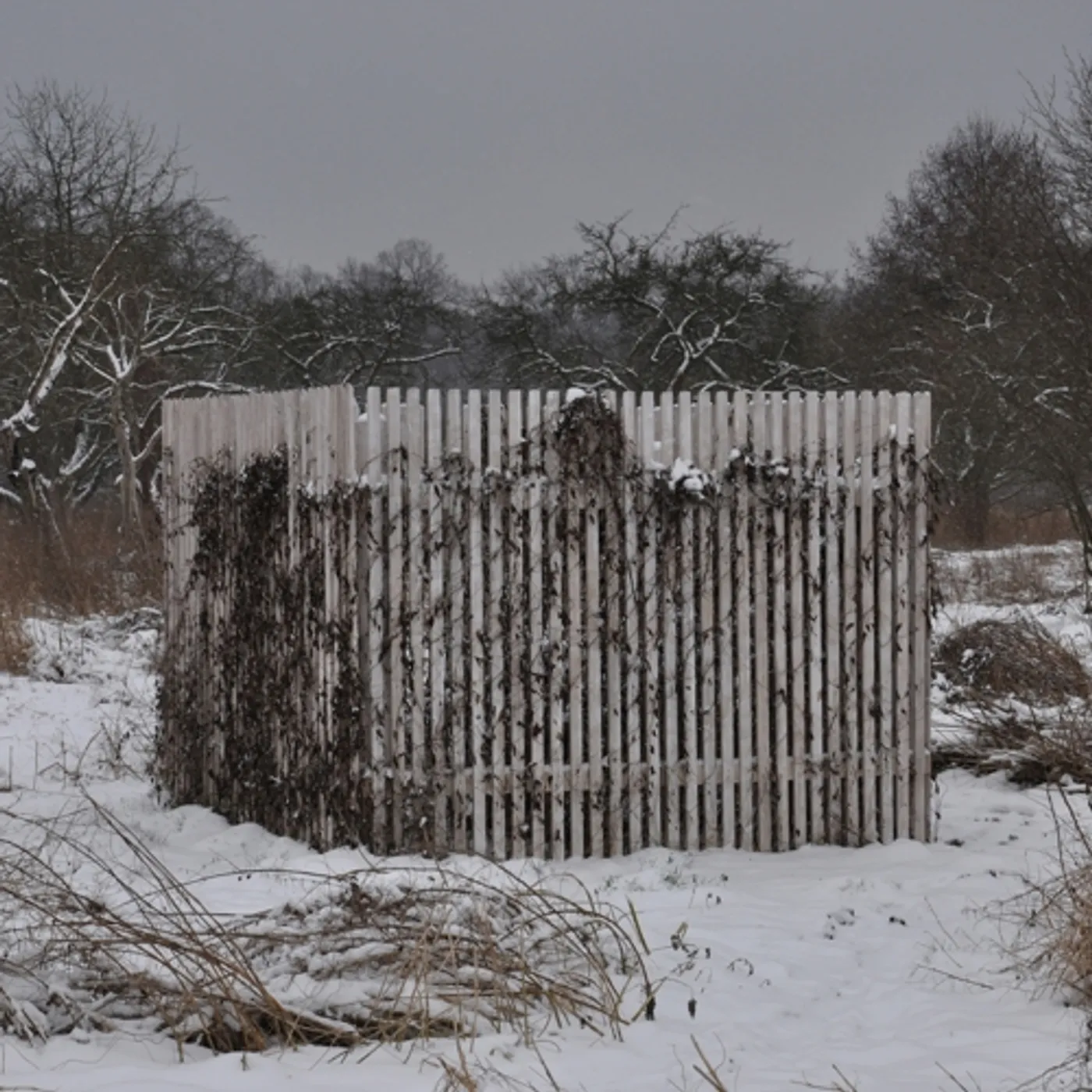 Drowse Light Mirror Vinyl Record