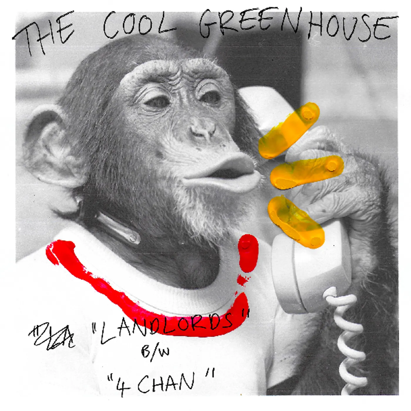 The Cool Greenhouse Landlords / 4Chan Vinyl Record