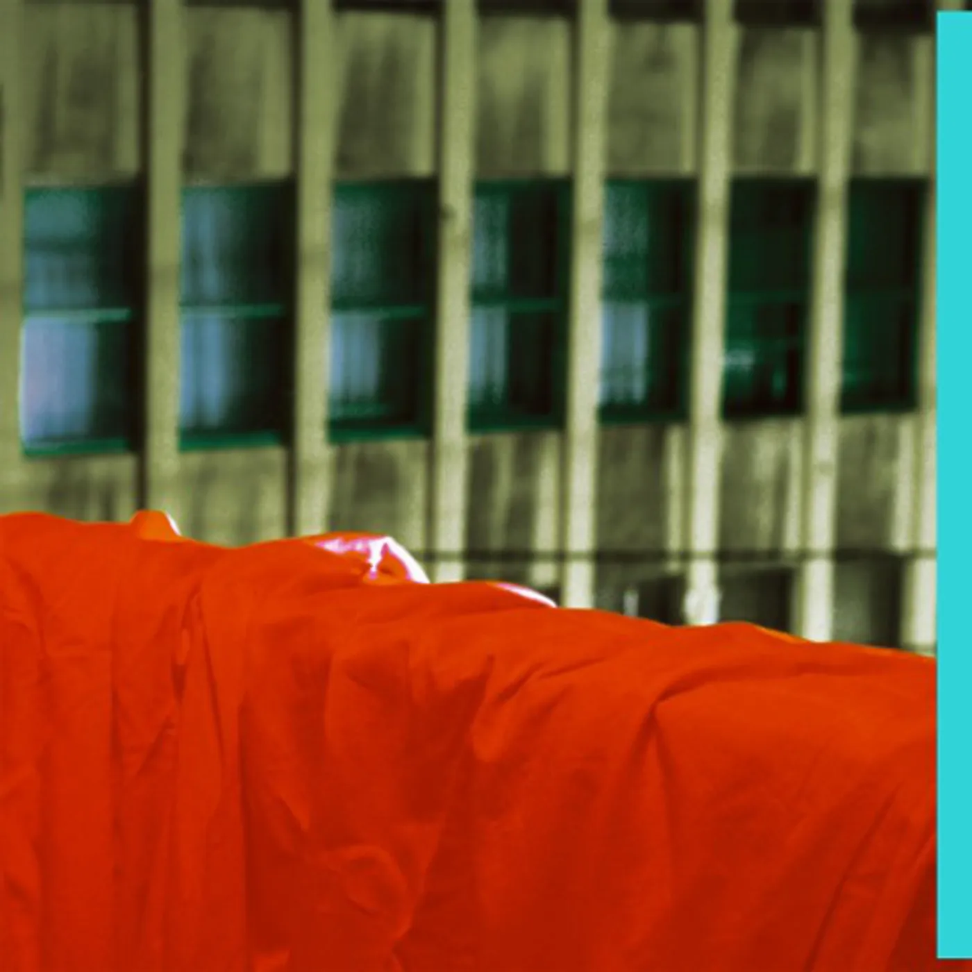 Georgia Decouple Series Vinyl Record