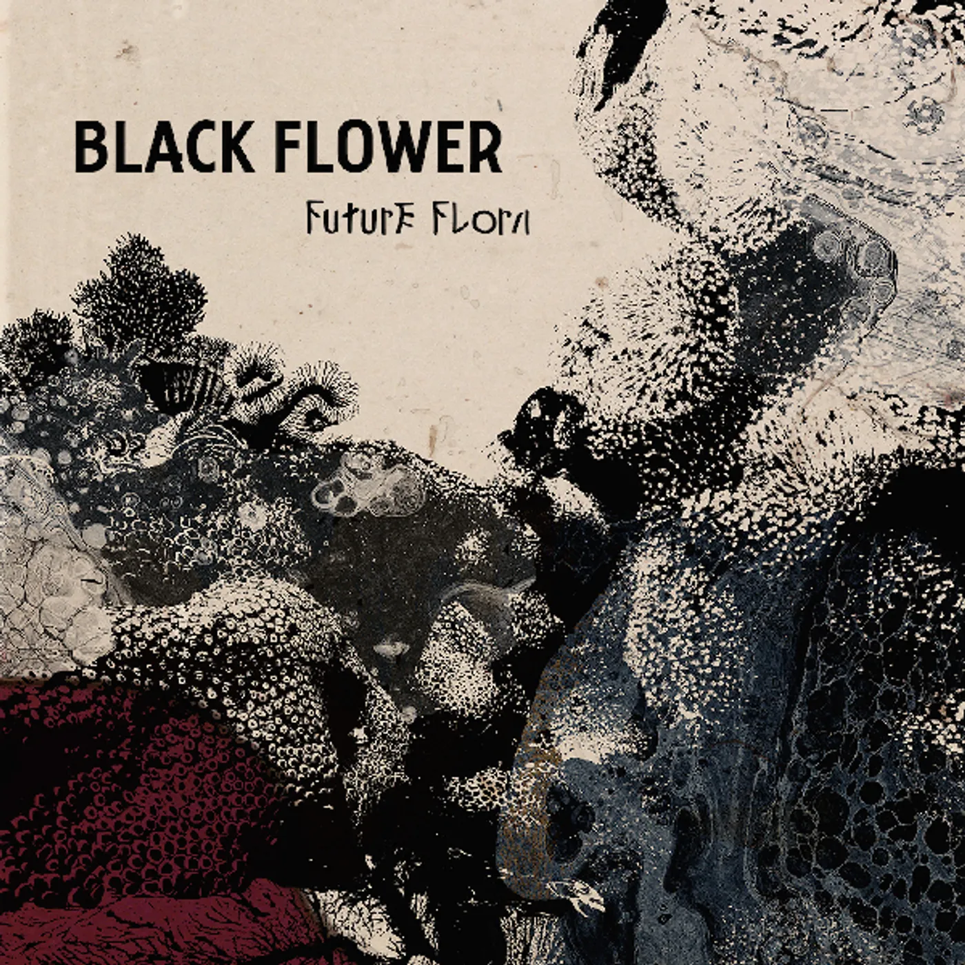 Black Flower FUTURE FLORA CD