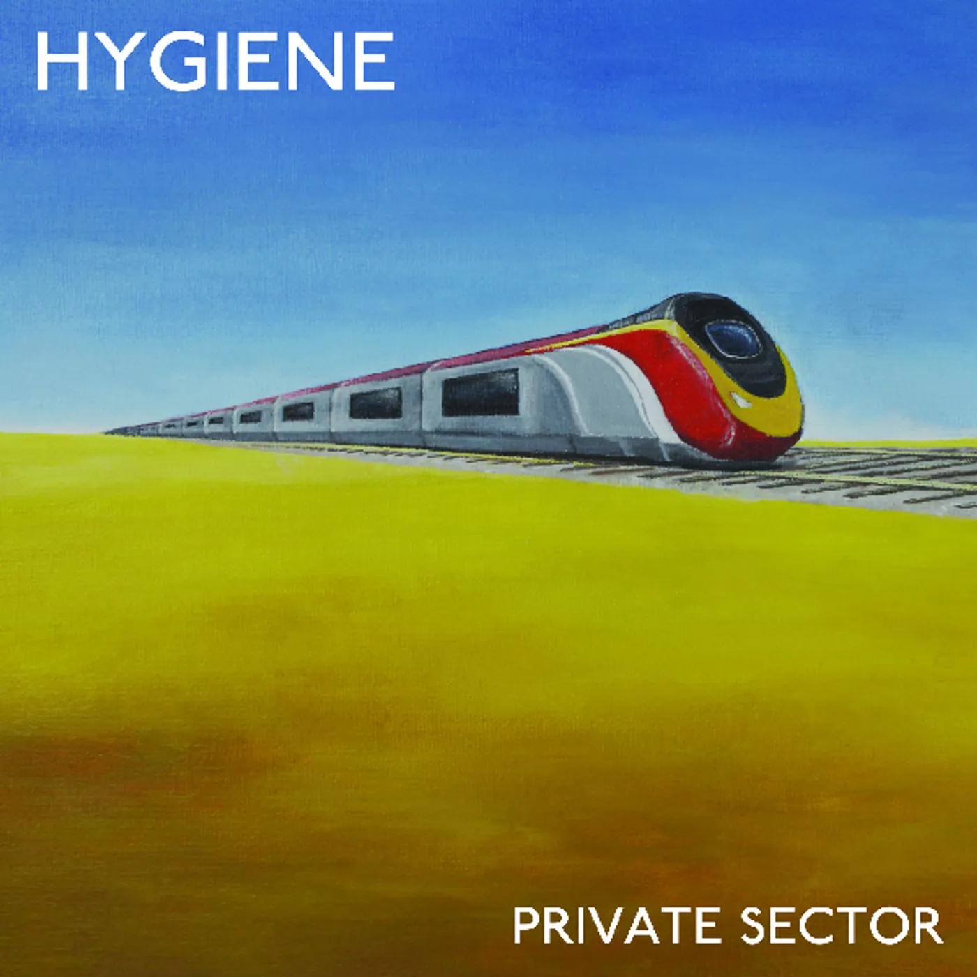 Hygiene Private Sector Vinyl Record