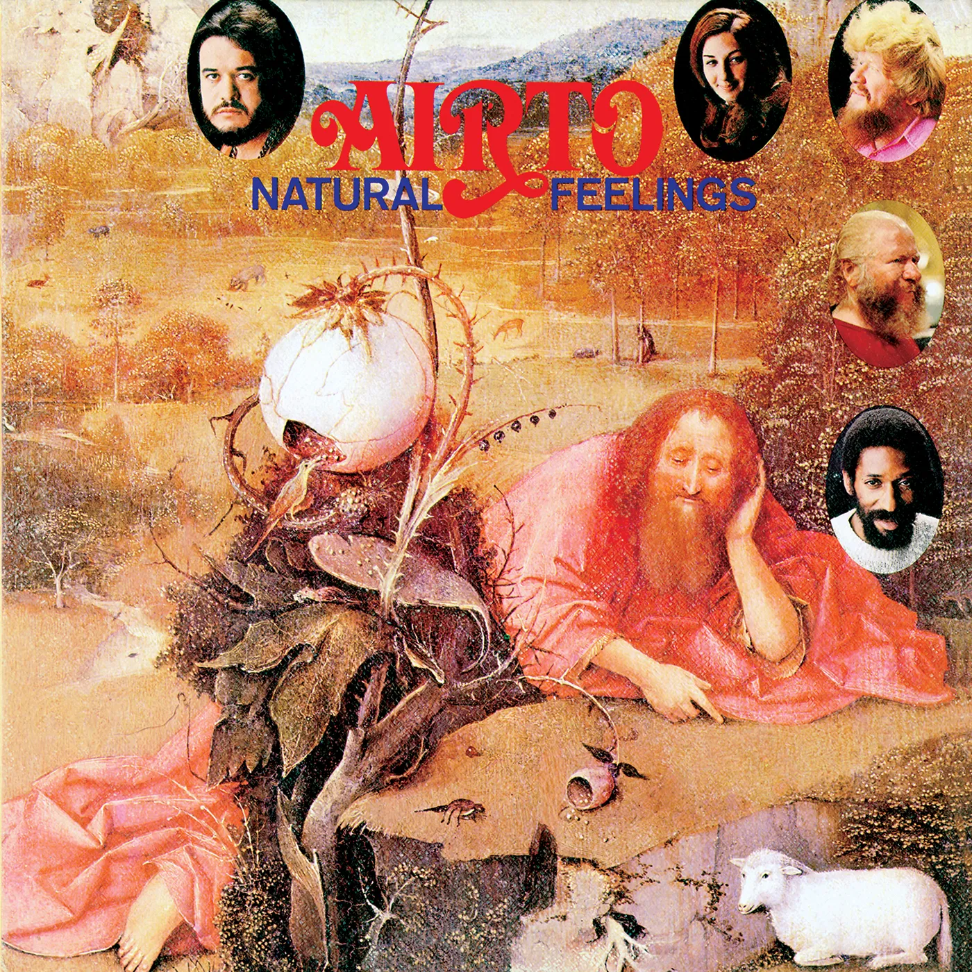 Airto Natural Feelings Vinyl Record