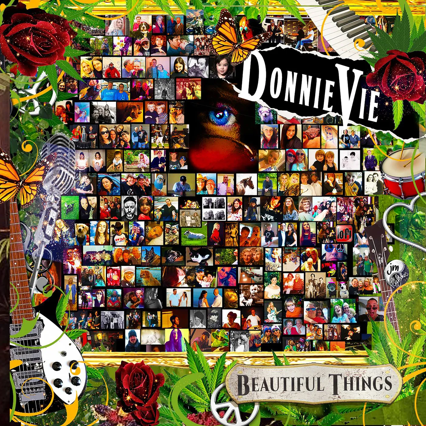 Donnie Vie Beautiful Things Vinyl Record