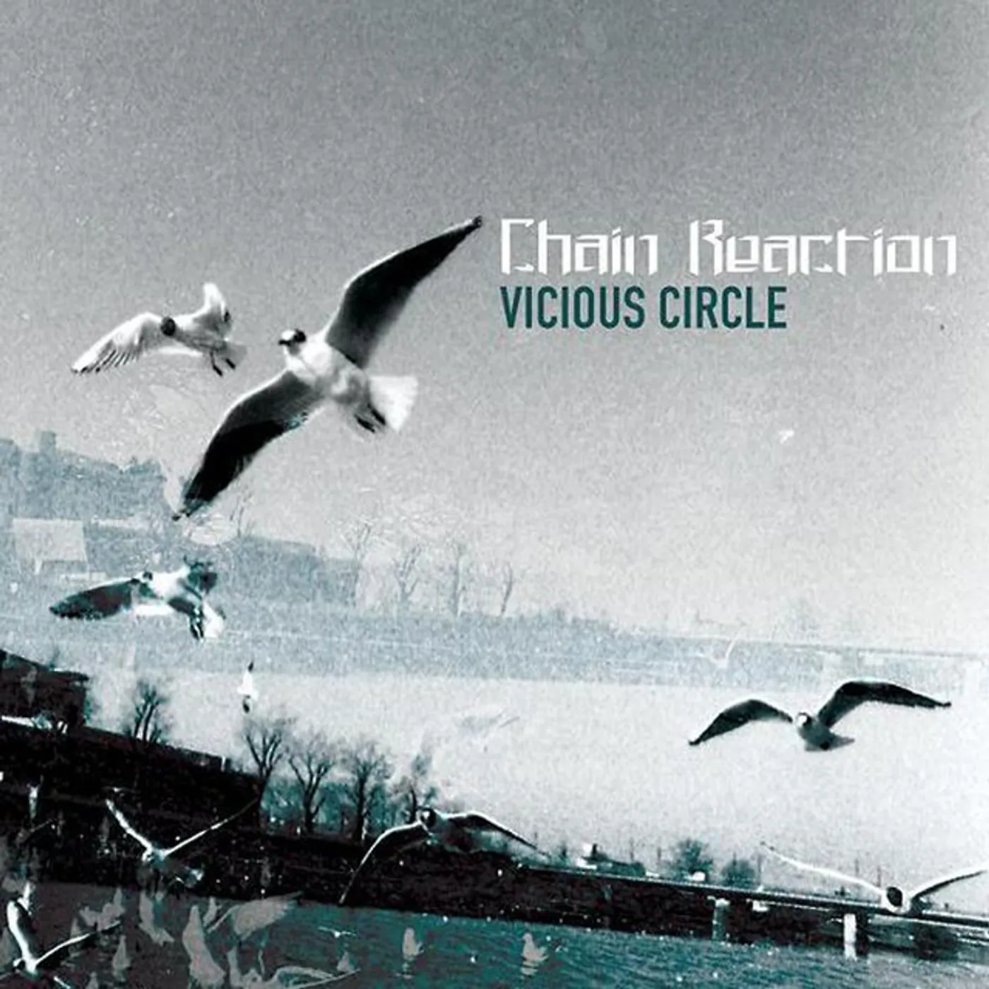Chain Reaction VICIOUS CIRCLE CD