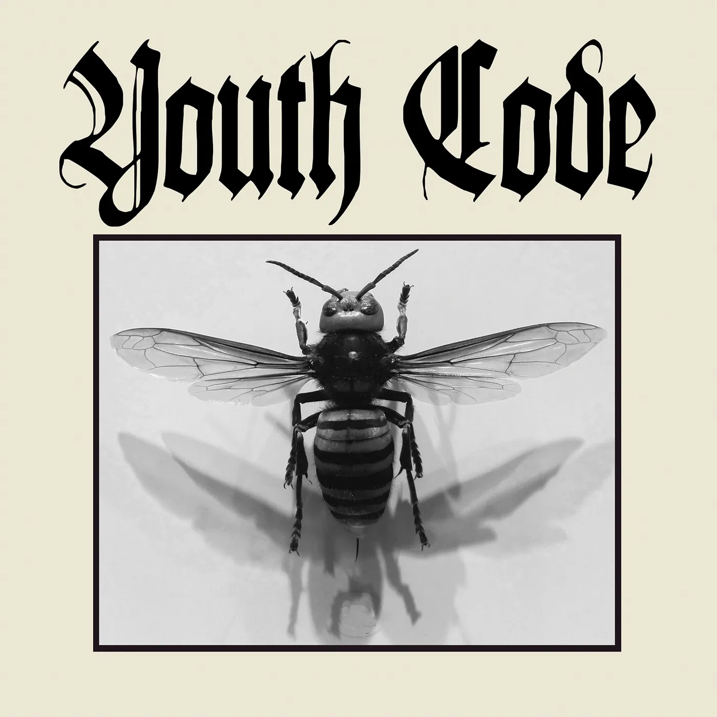 Youth Code Anagnorisis Vinyl Record