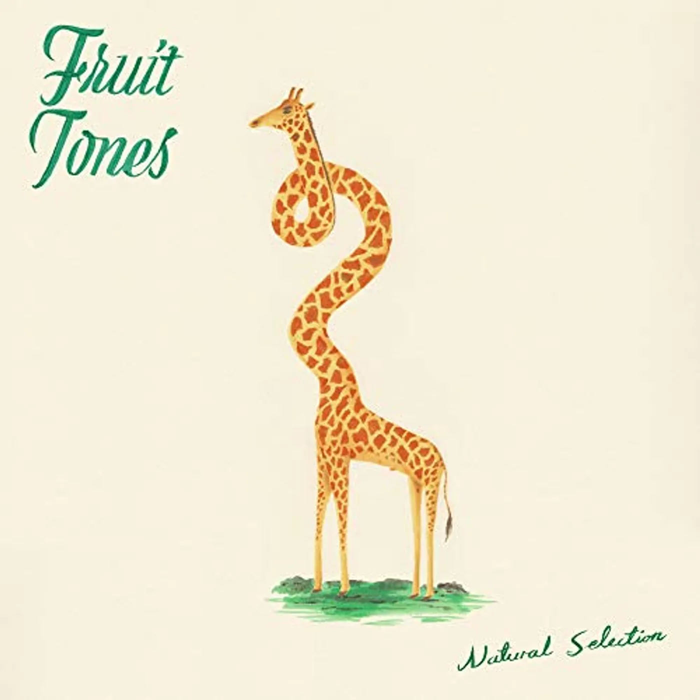 Fruit Tones Natural Selection Vinyl Record
