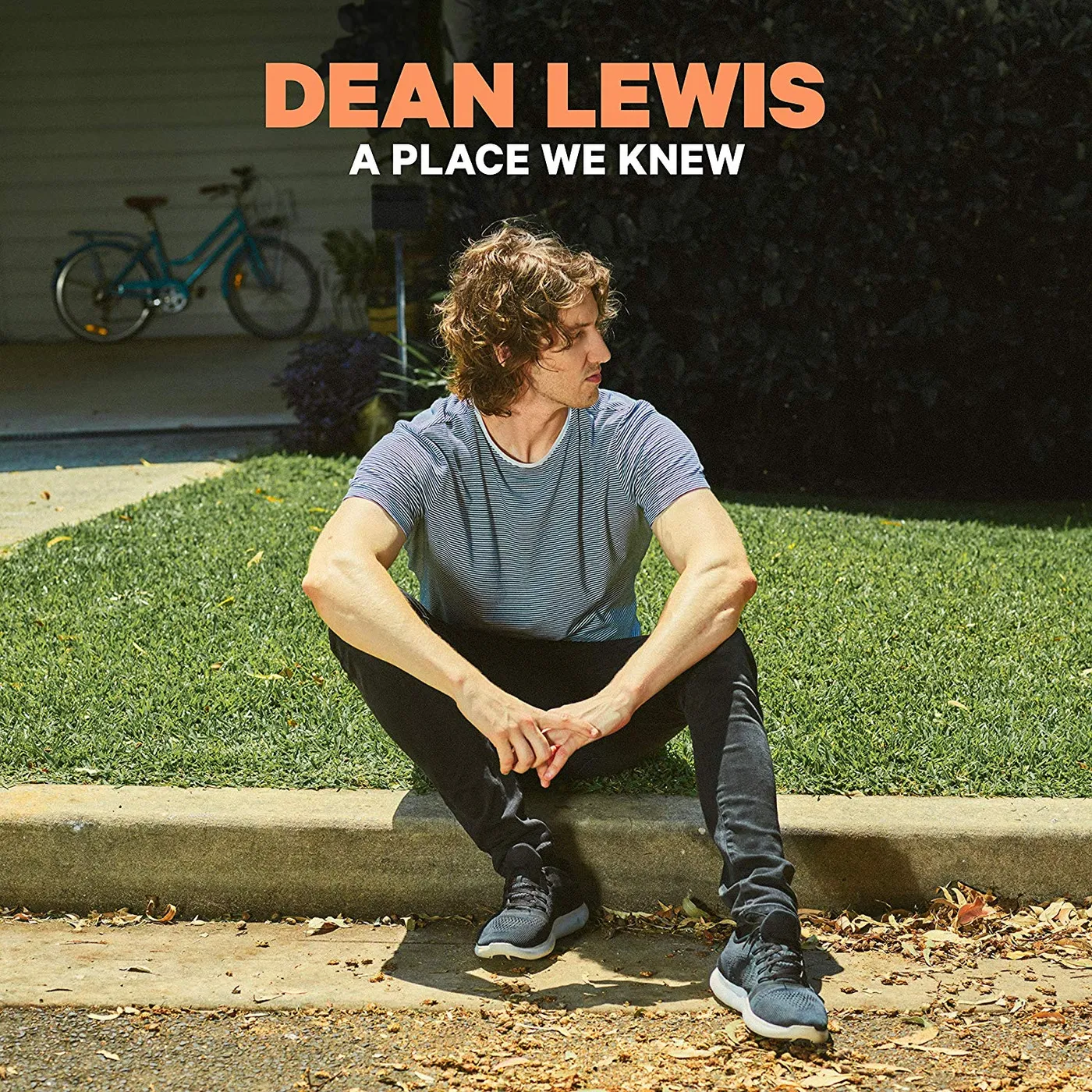 Dean Lewis A Place We Knew (LP) Vinyl Record