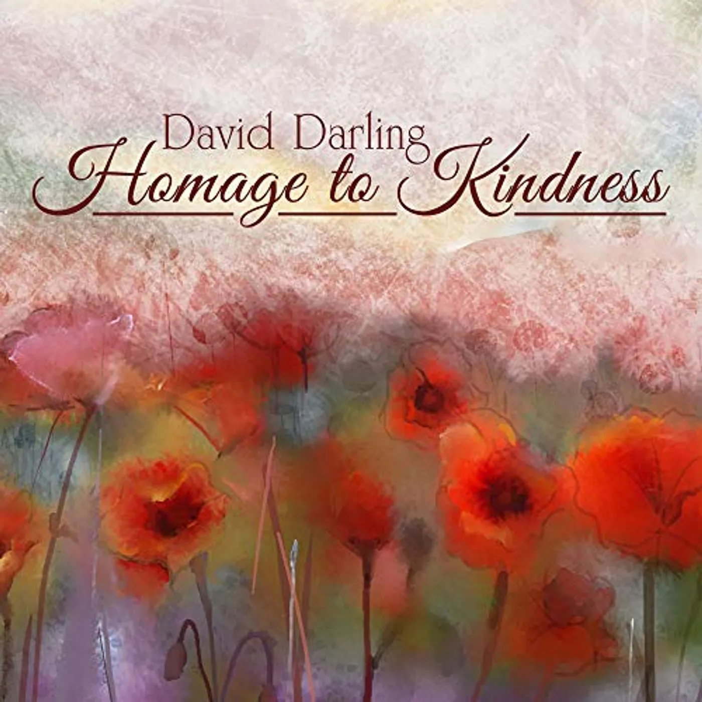 David Darling HOMAGE TO KINDNESS CD