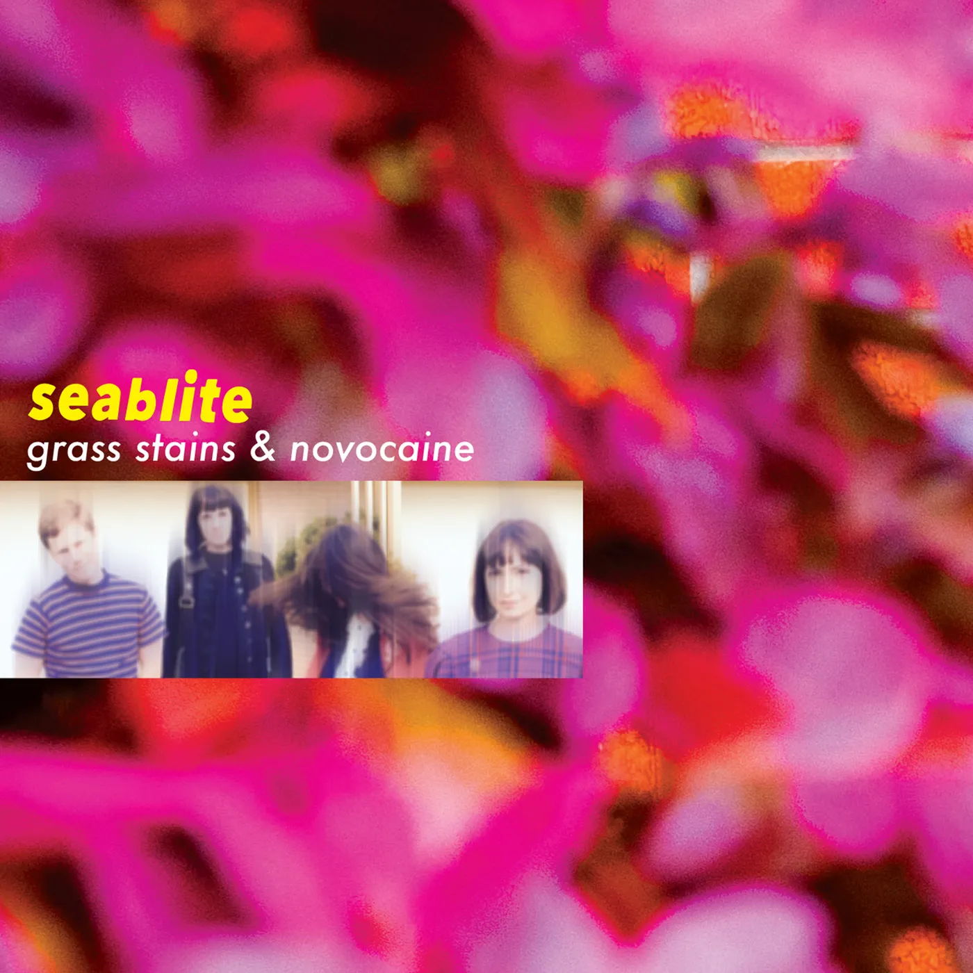 Seablite Grass Stains and Novocaine Vinyl Record