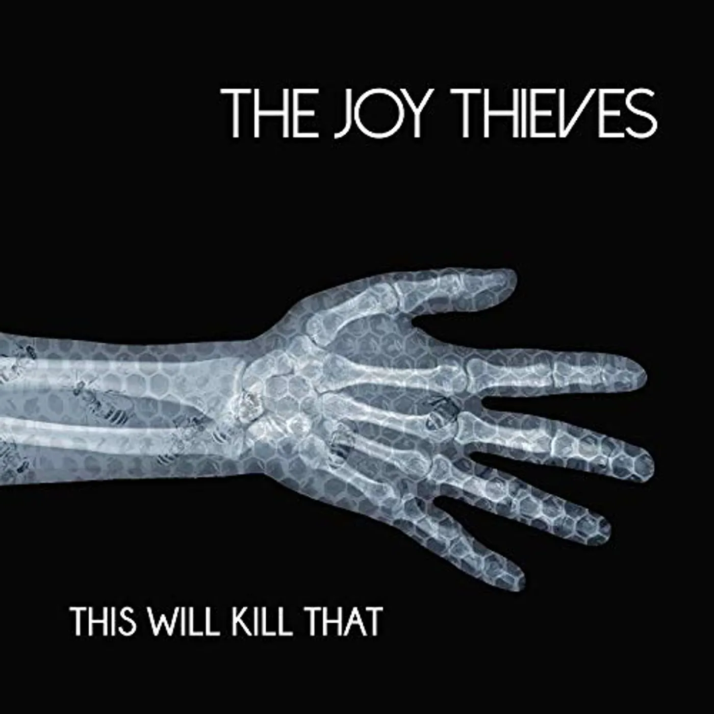 The Joy Thieves THIS WILL KILL THAT CD