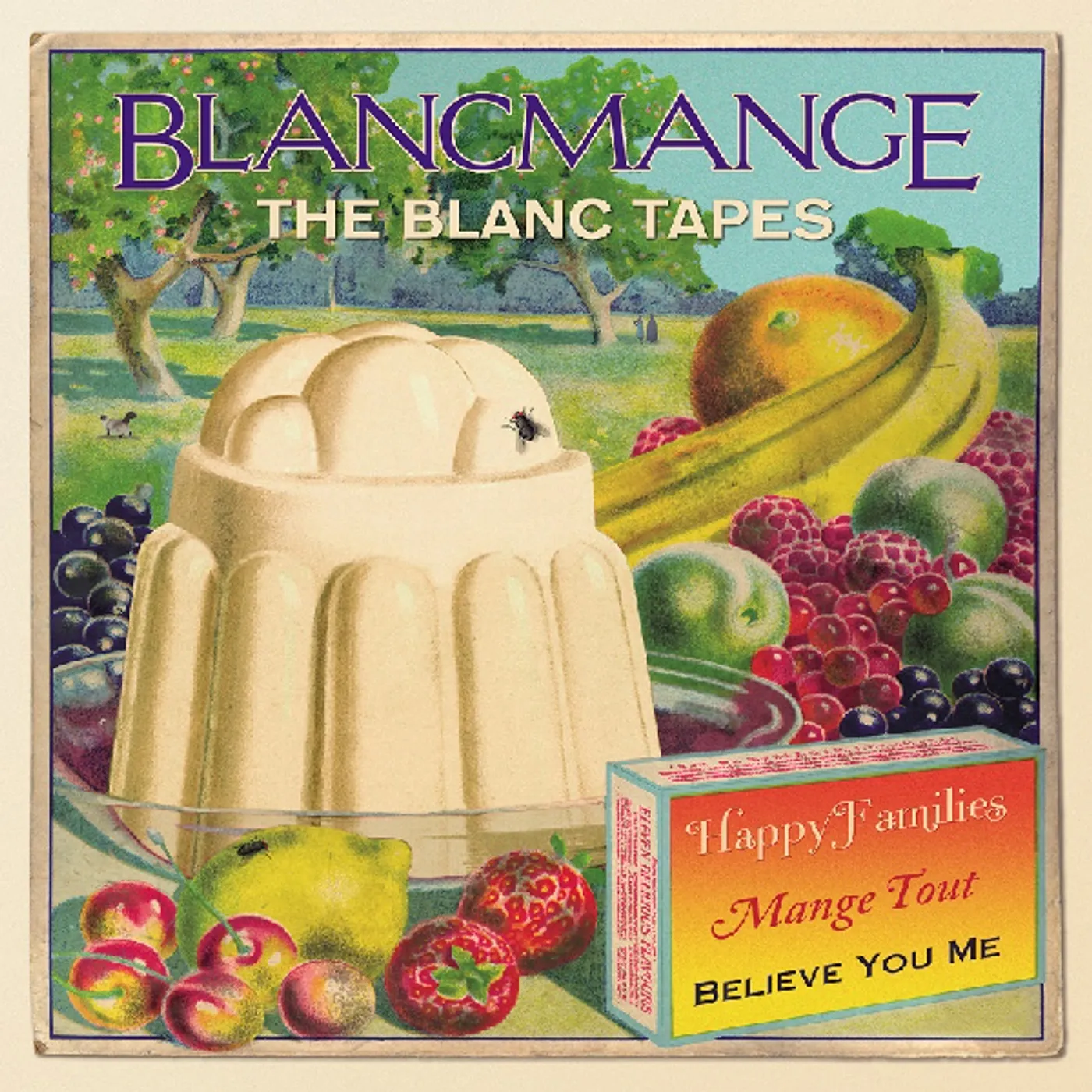 Blancmange BLANC TAPES Vinyl Record