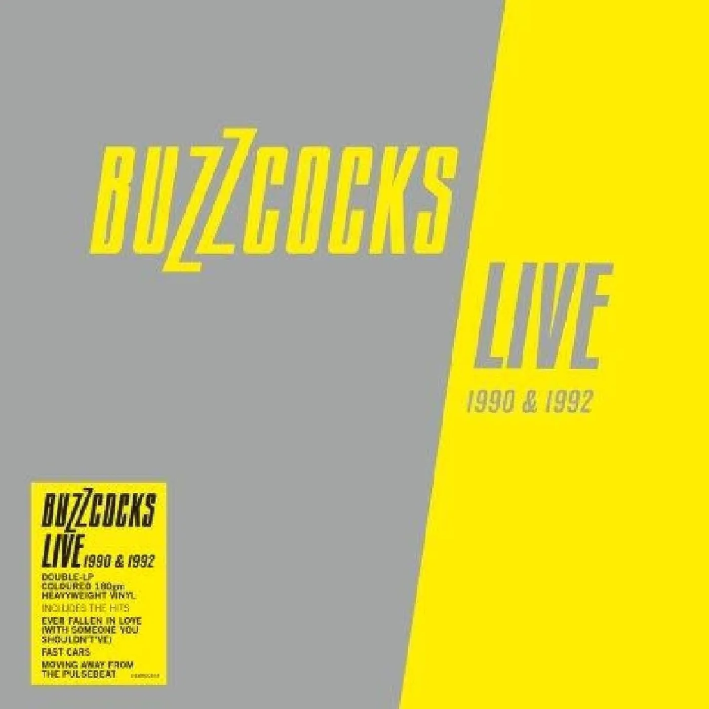 Buzzcocks LIVE Vinyl Record