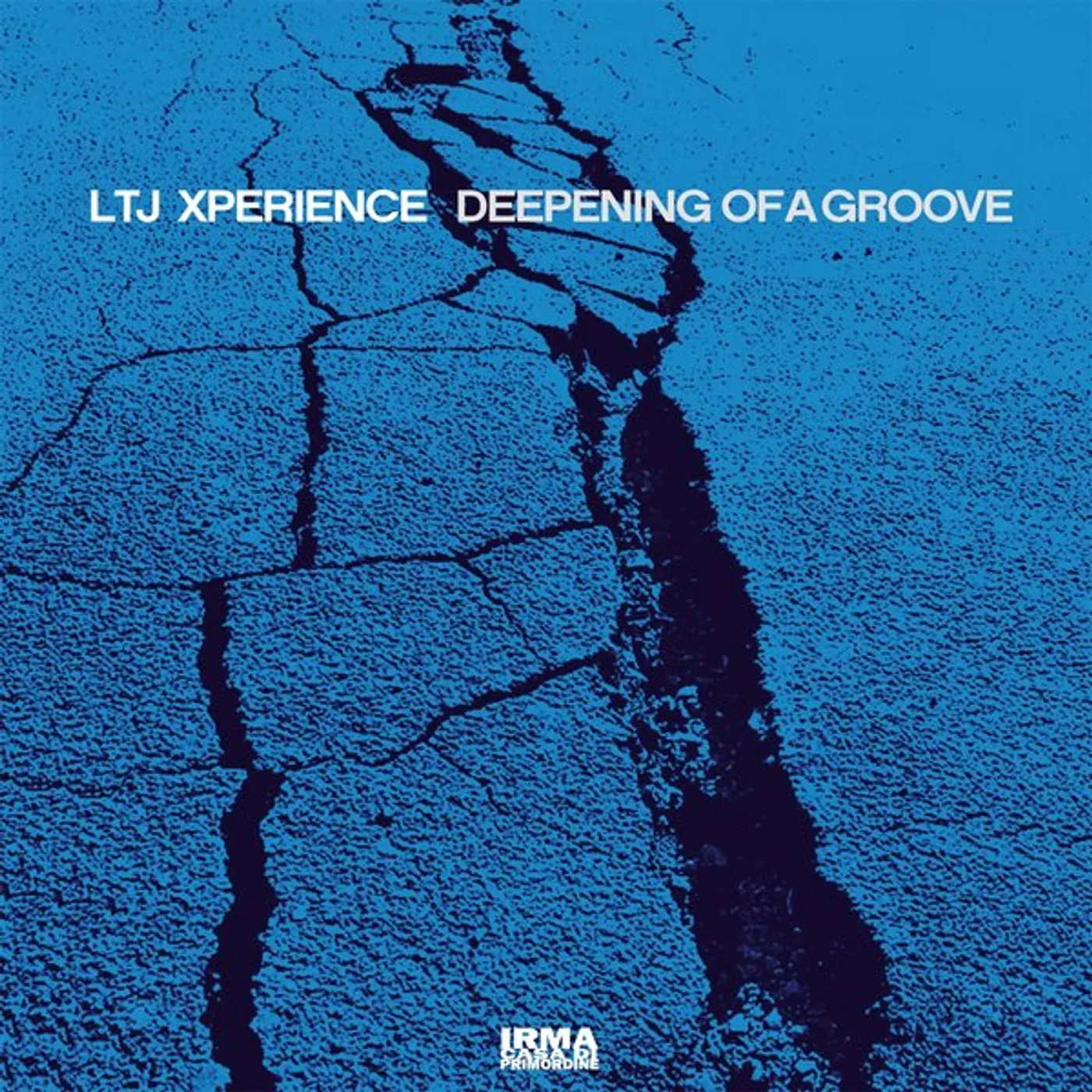 Ltj Xperience Deepening Of A Groove Vinyl Record