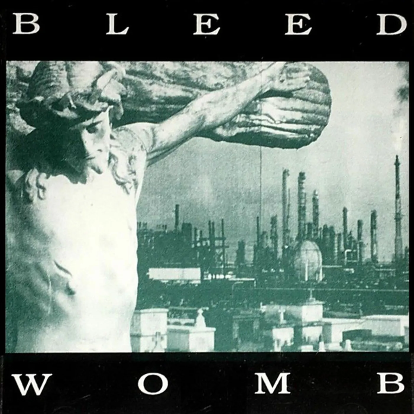 Bleed Womb Vinyl Record