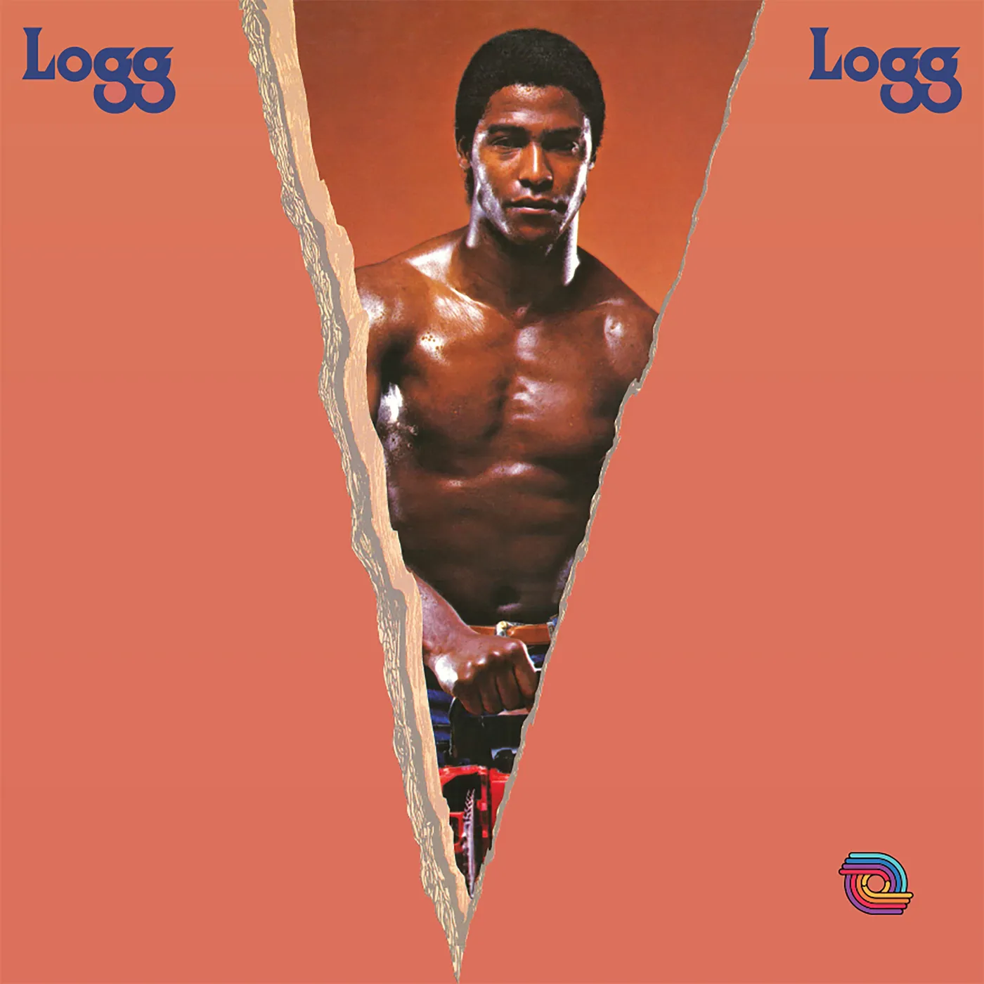 Logg Vinyl Record