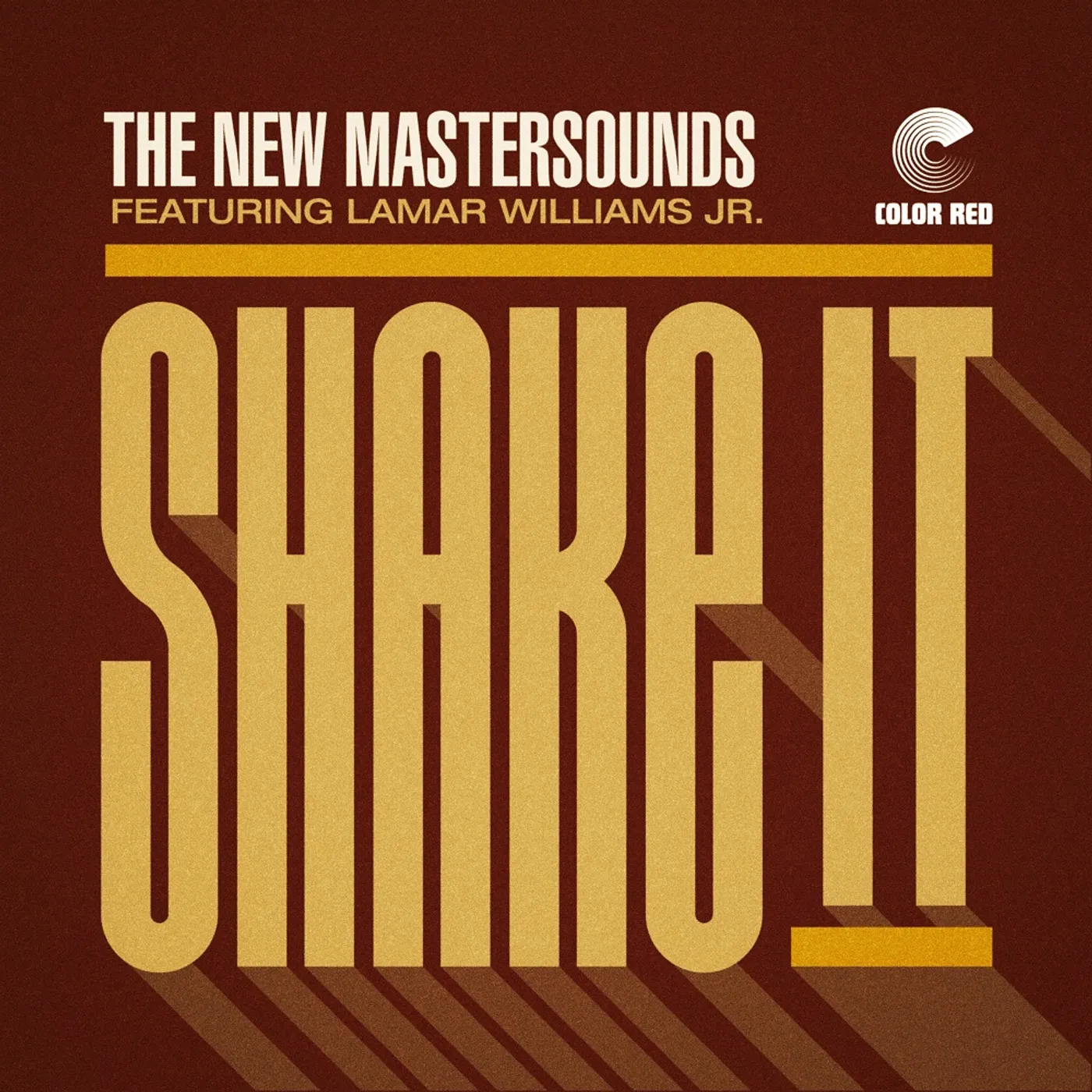 The New Mastersounds SHAKE IT / PERMISSION TO LAND Vinyl Record