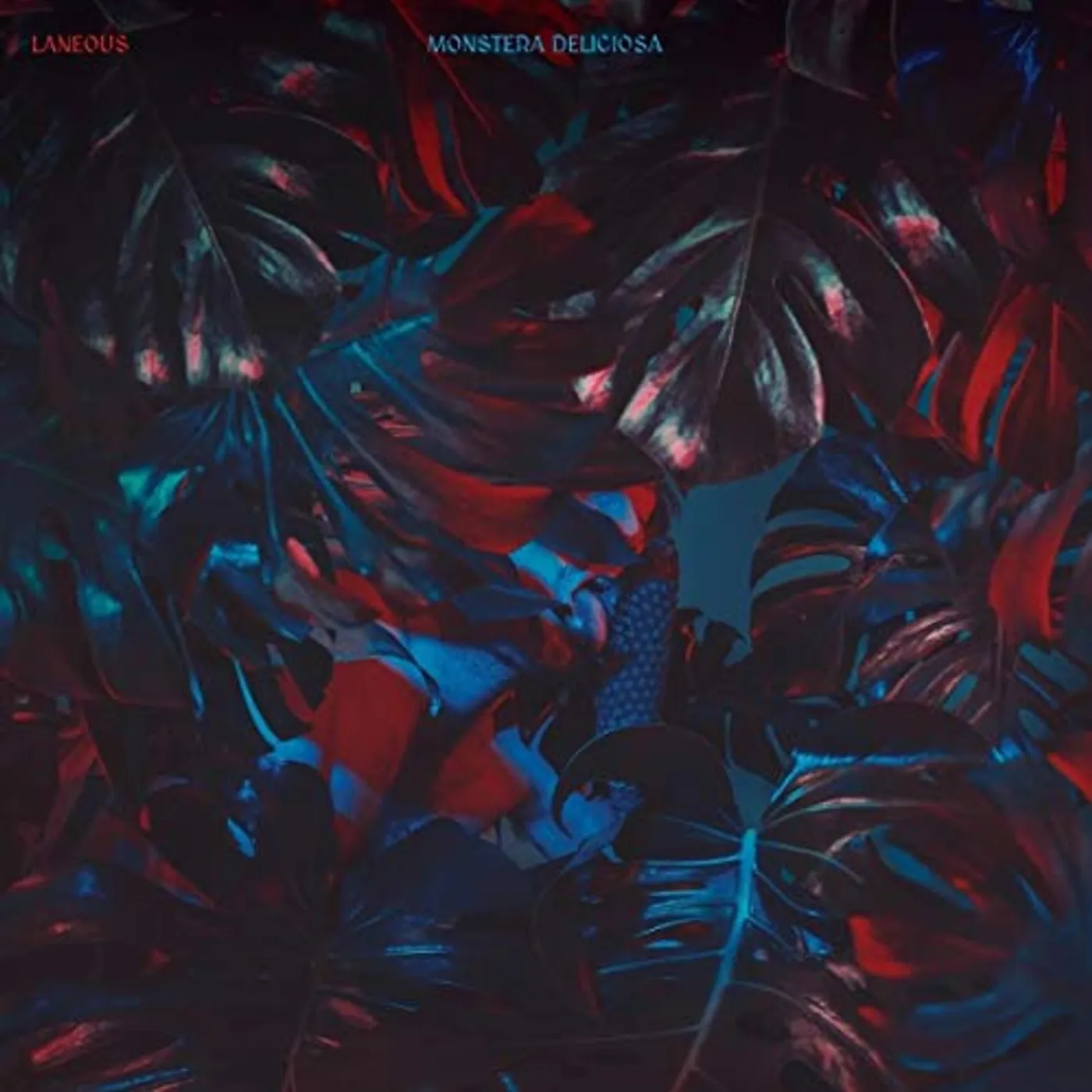 Laneous Monstera Deliciosa Vinyl Record