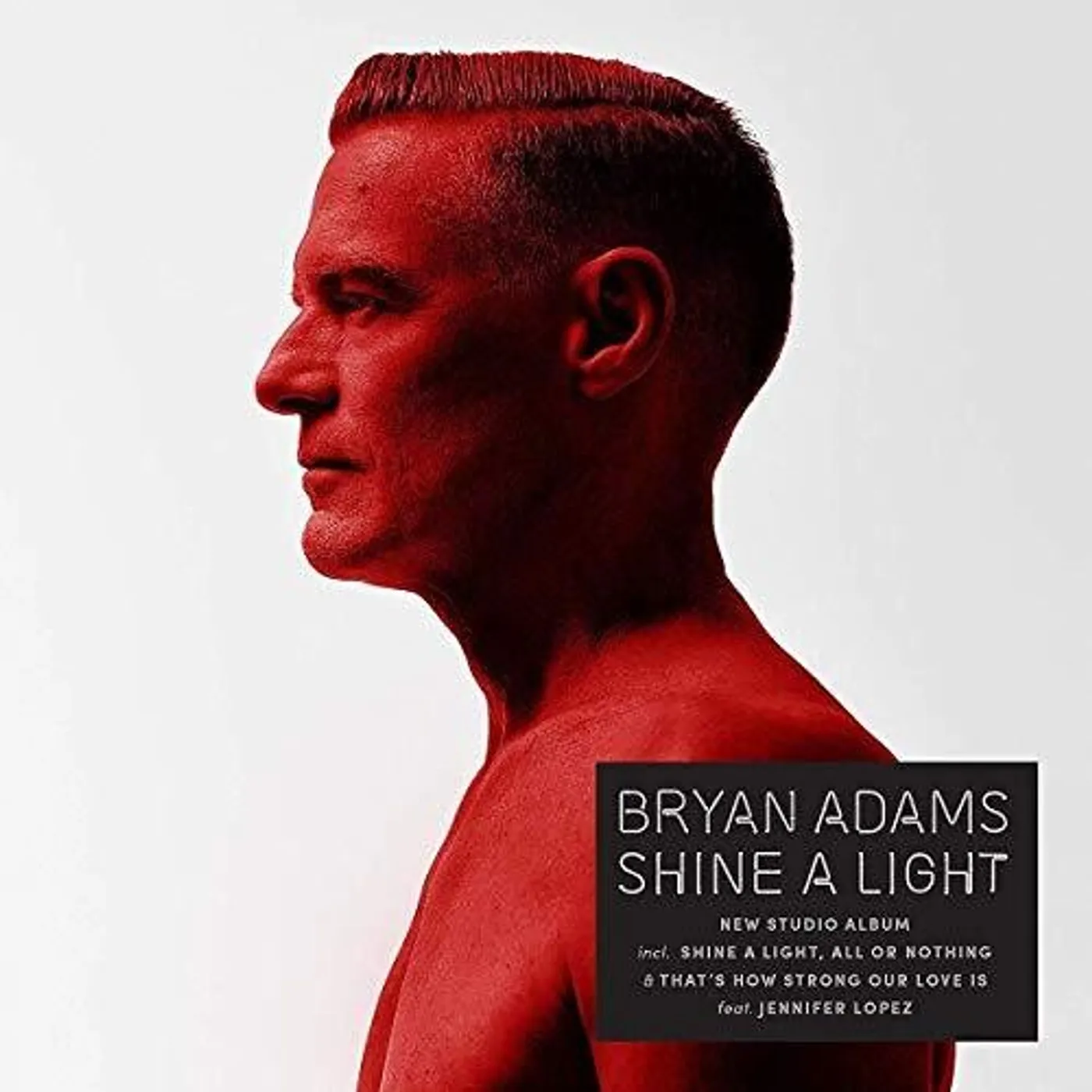 Bryan Adams Shine A Light Vinyl Record