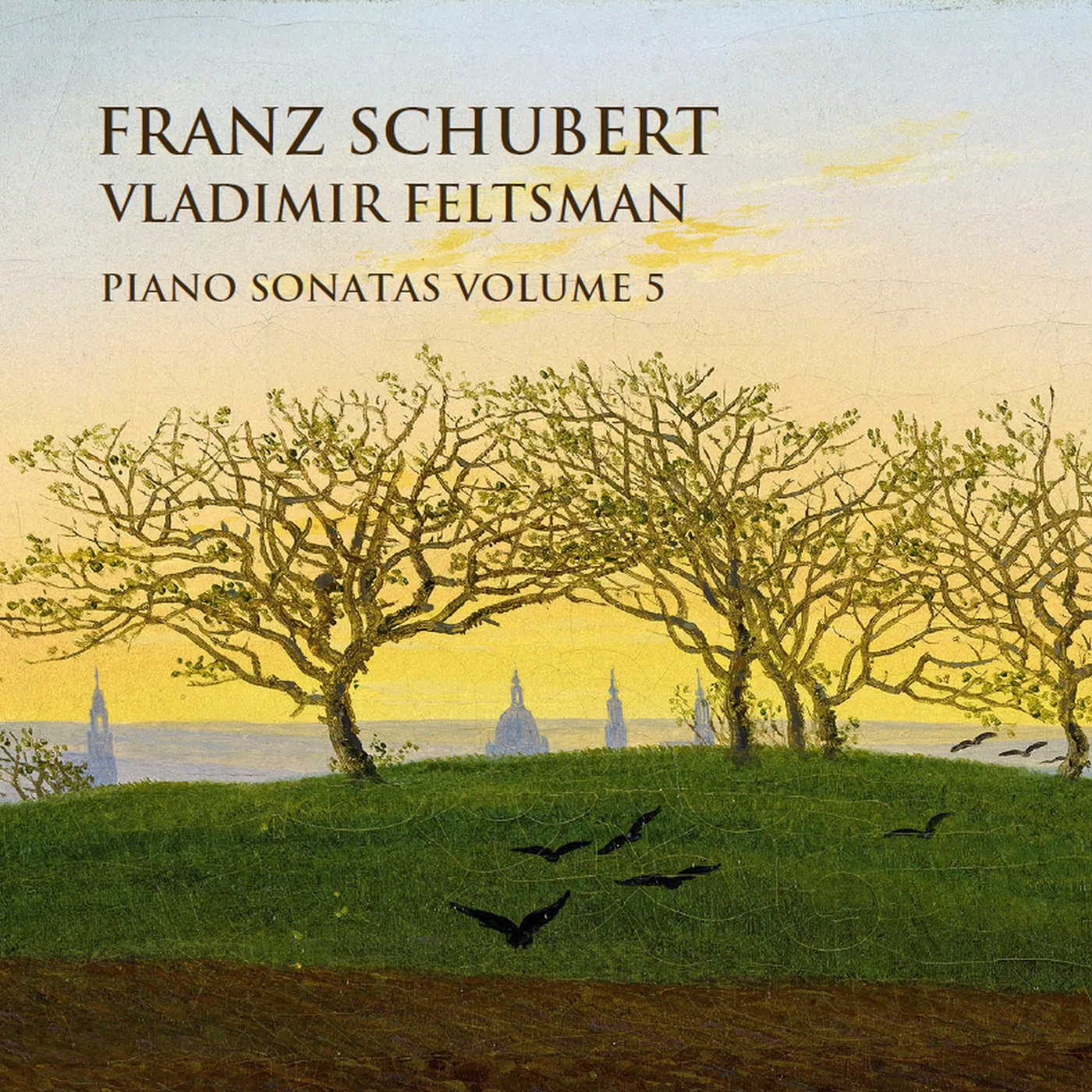 Vladimir Feltsman SCHUBERT: PIANO SONATAS, VOL. 5 CD