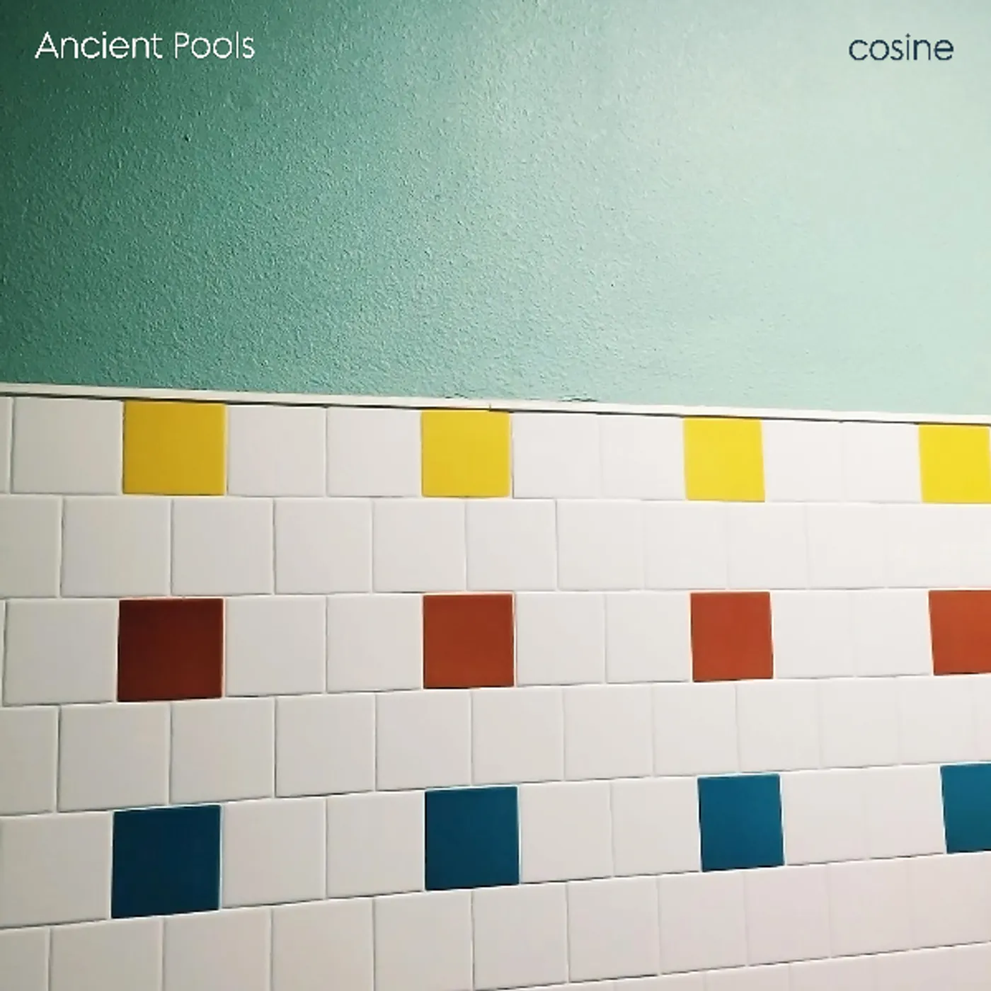 Ancient Pools Cosine Vinyl Record