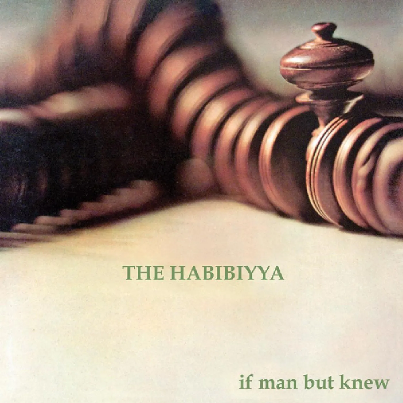 The Habibiyya IF MAN BUT KNEW CD