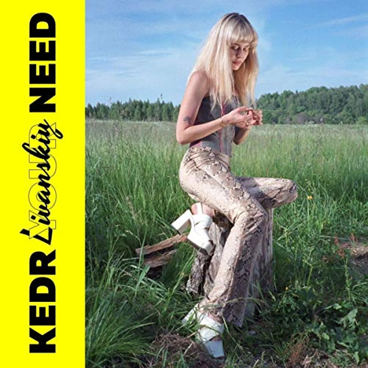 Kedr Livanskiy Your Need Vinyl Record